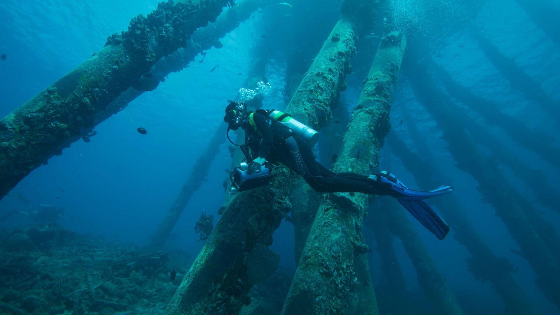 A scuba diver explores underwater structures in the Caribbean, showcasing vibrant marine life.