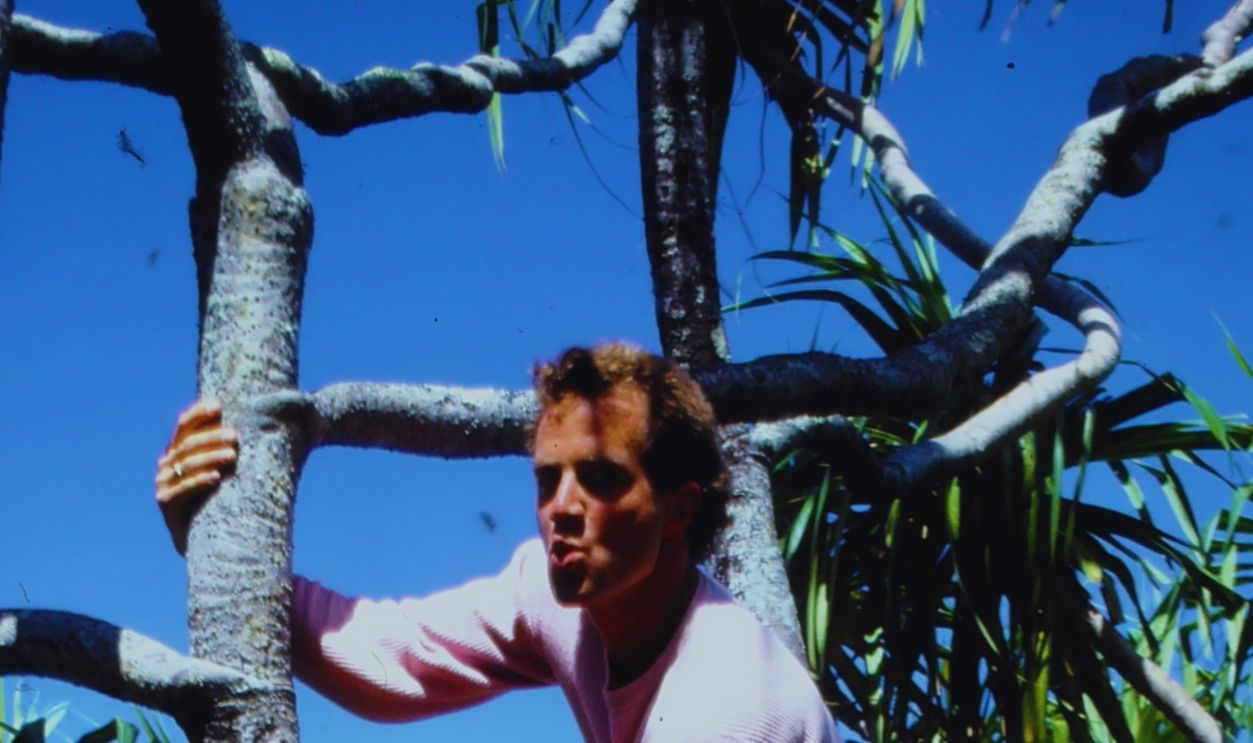 Adventure seeker climbing a tree with a stunning ocean view