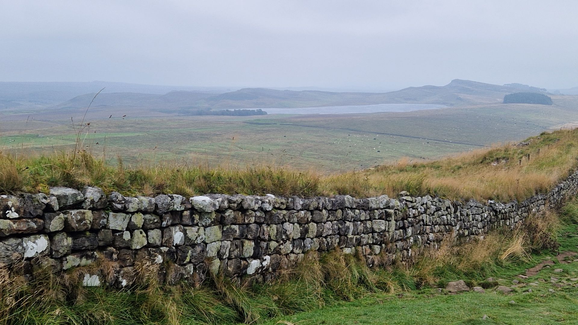 A view over Northumberland on Hadrian's Wall Path looking over a lake