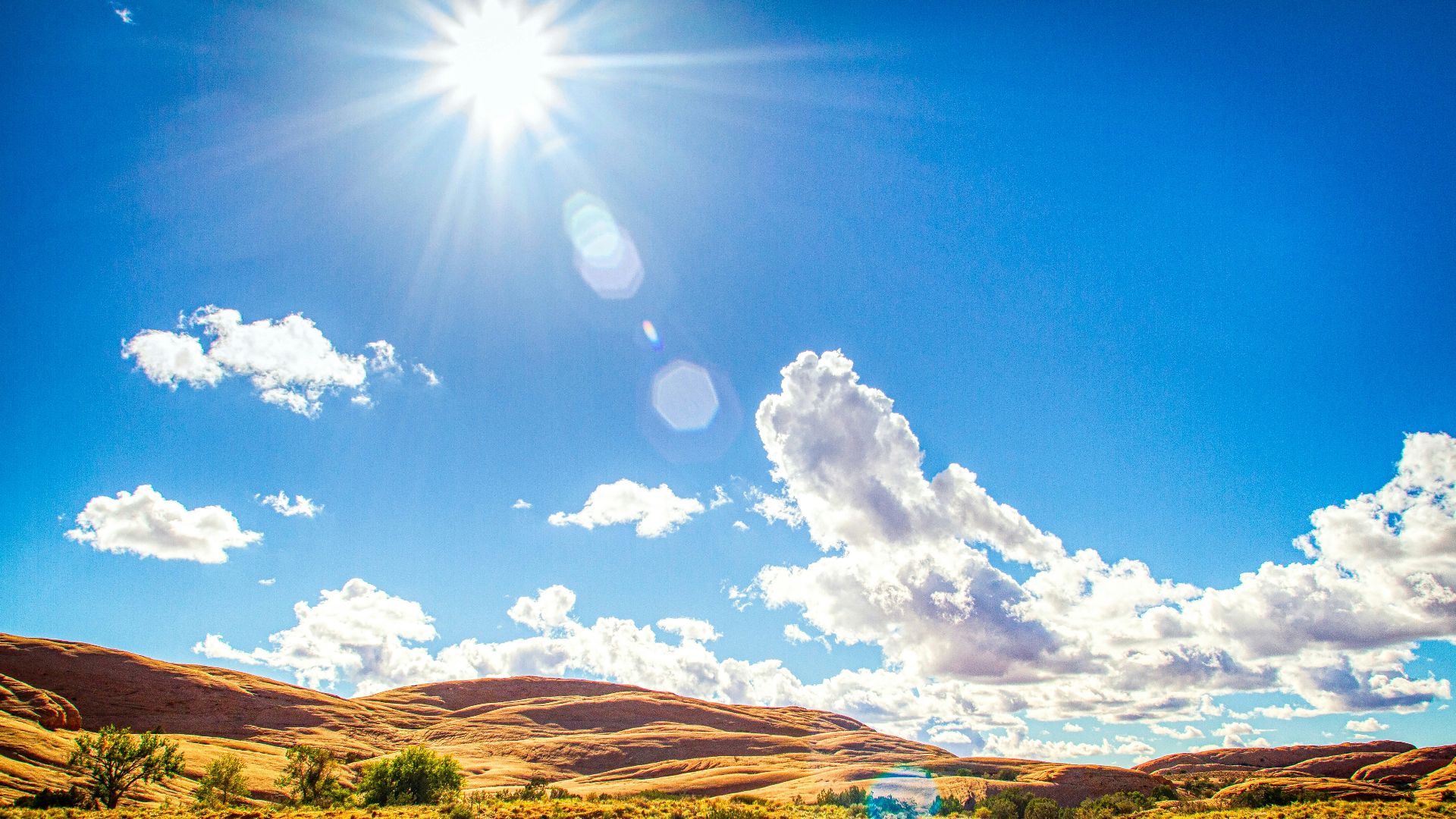brown field under blue sky during daytime