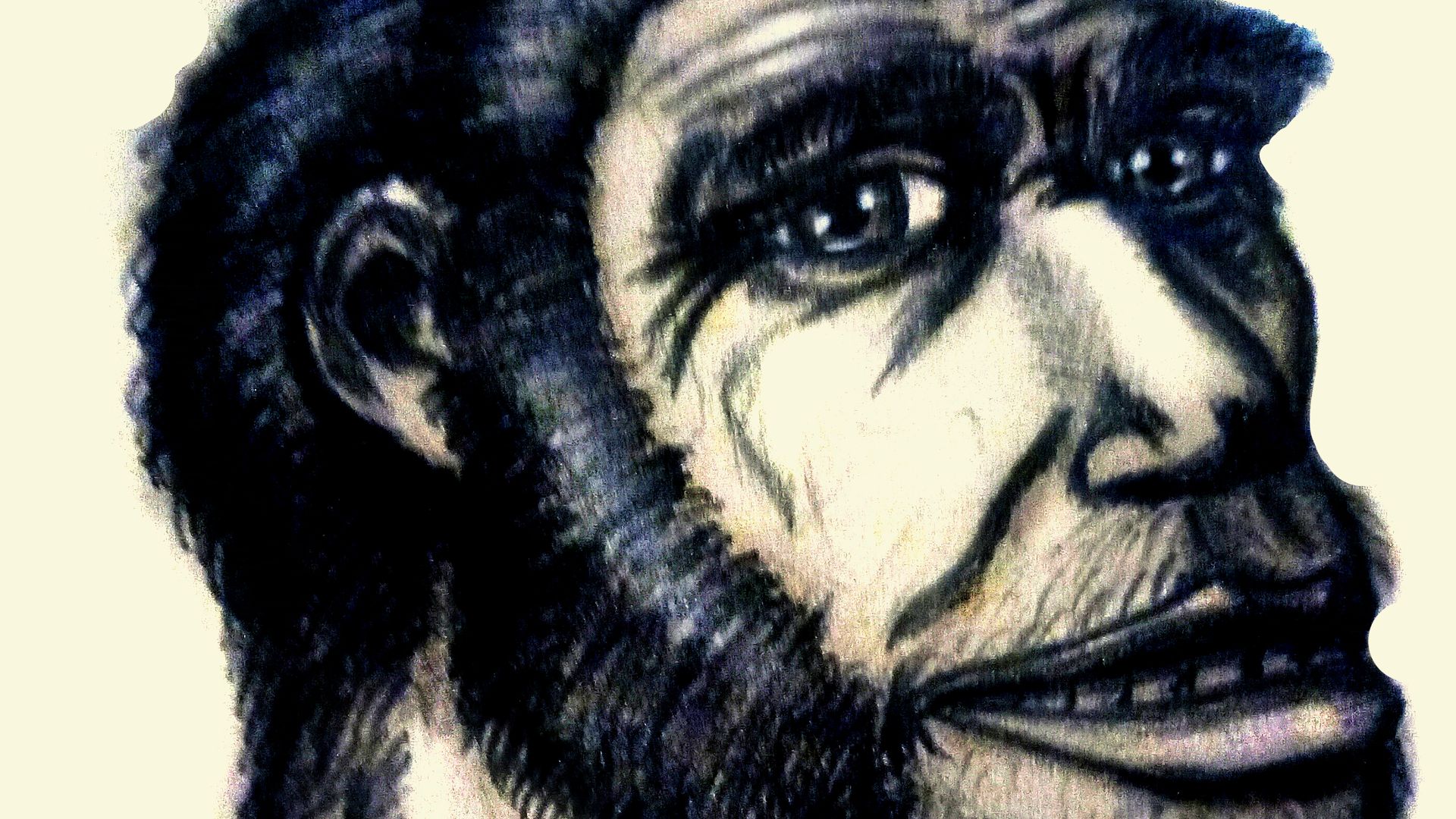 An original pencil-drawn artistic reconstruction of the head of a male Homo erectus / ergaster. High-resolution (300 dpi) file for educational and creative use. The facial structure is artistically inspired by the KNM-ER 3733 skull proportions but adapted