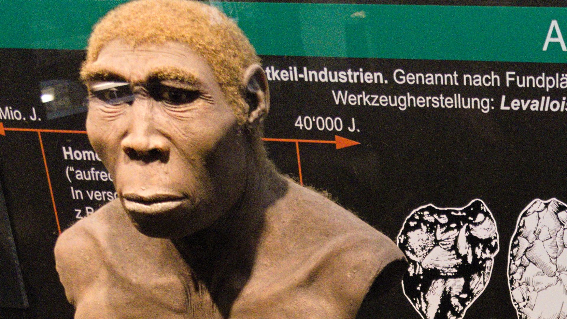 The museum Kulturama in Zürich, Switzerland.