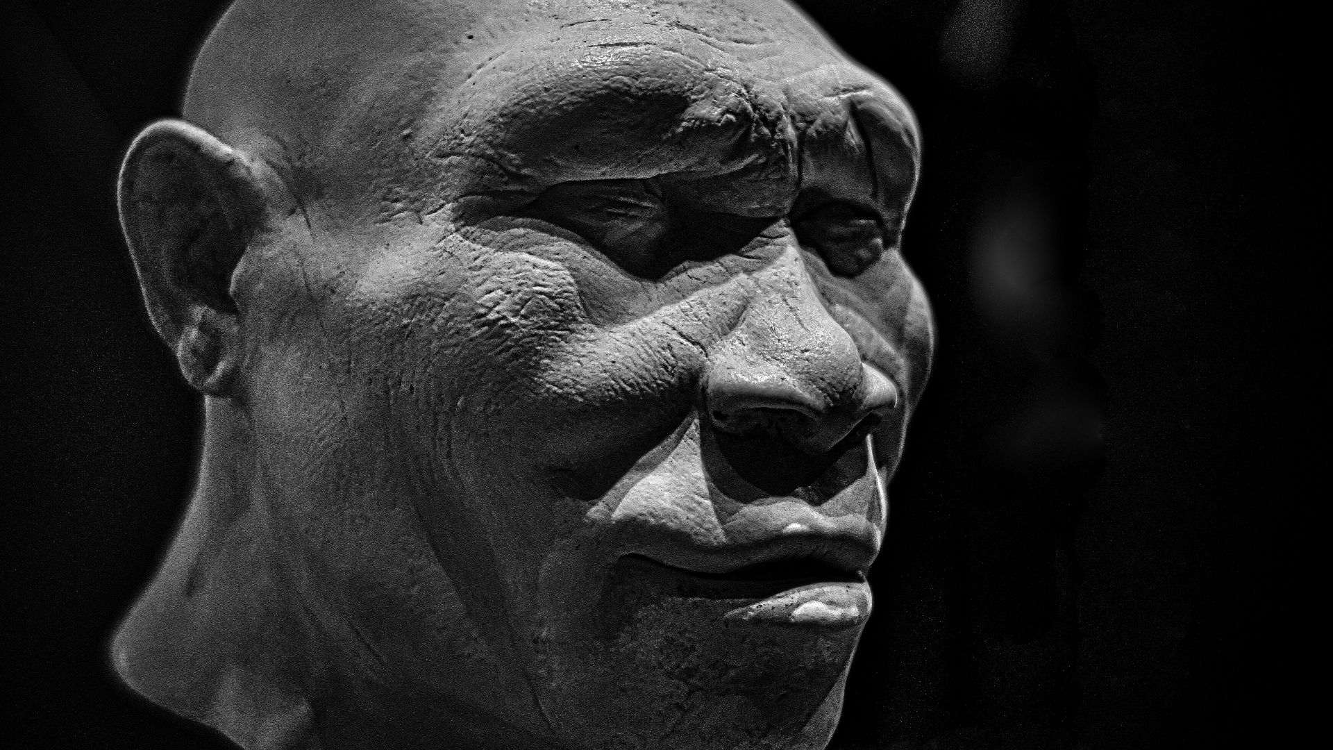 Homo erectus reconstruction, Natural History Museum, London
Within these hallowed halls
Revenge one does not know.
(Mozart, Magic Flute)
7Artisans 35mm manual lens at F1.2, ambient light.

Natural History Museum, London. This attempt at reconstructing the