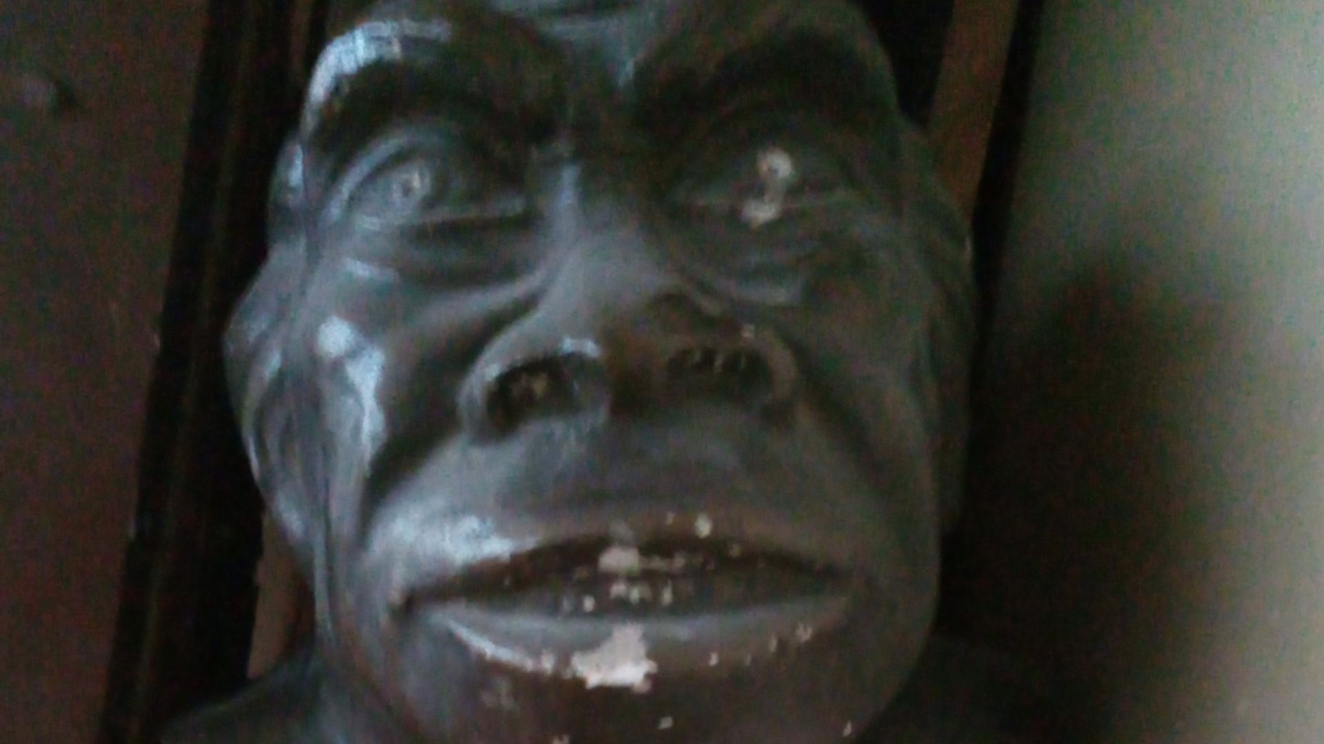 Restoration of head of Pithecantropus on display at the Sofia University