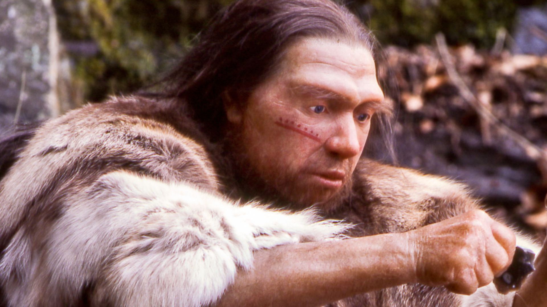Lebend-Rekonstruktion im Neanderthal-Museum (Erkrath, Mettmann) eines Homo sapiens neanderthalensis-Jägers