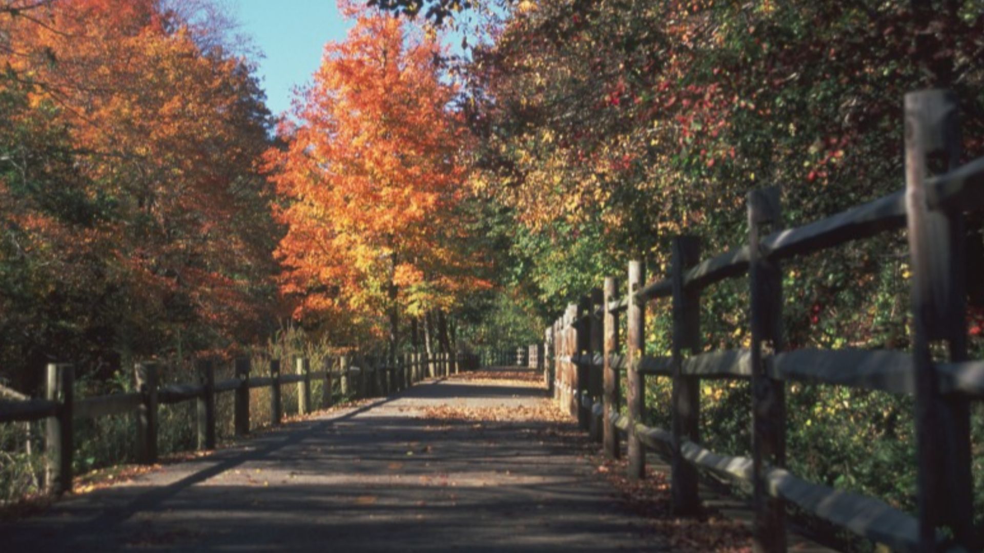 The Blackstone River Bikeway in Rhode Island, October 2006. Photo was taken about a mile south of the Martin Street bridge, facing north up the path.