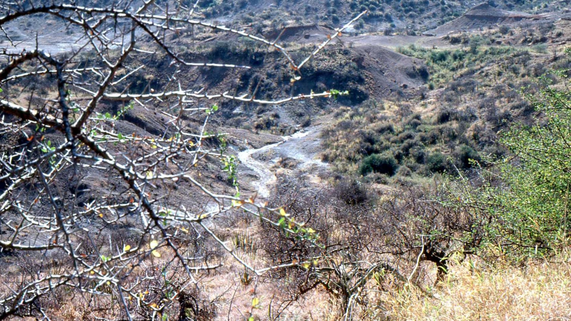 Olduvai