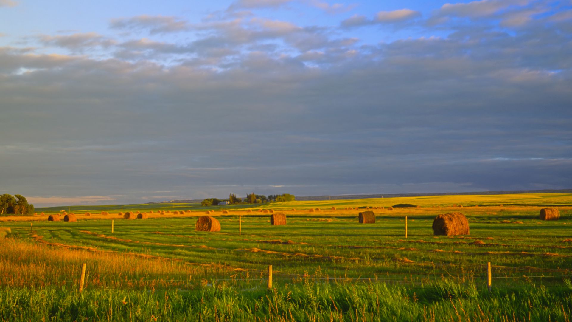 This image is free to use personally or commercially.  I only ask that you link back to <a href=