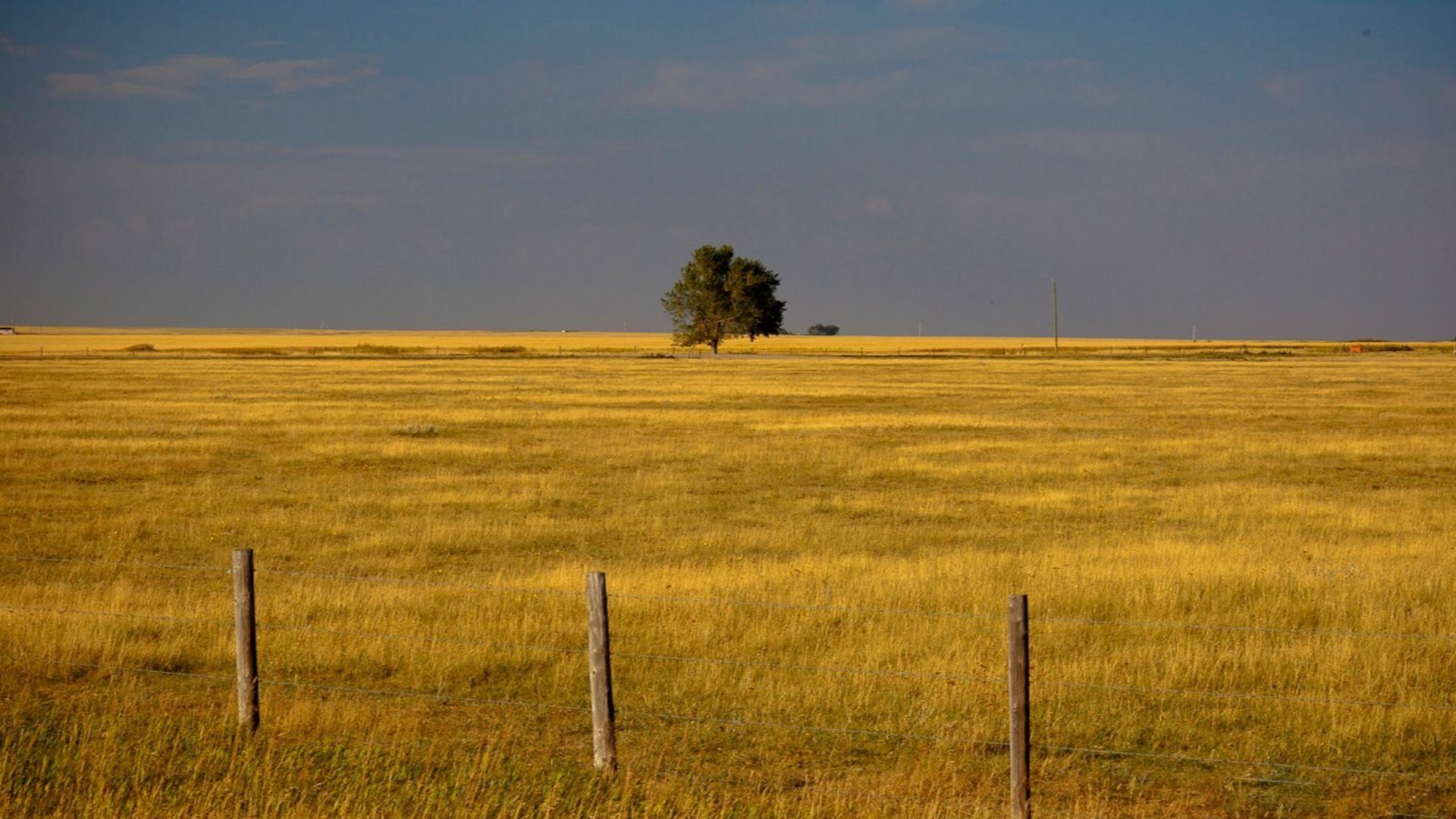 Flat prairie farmlands exist for miles and miles in Alberta before encountering the jagged peaks of the Canadian Rockies. This was taken outside of Calgary.