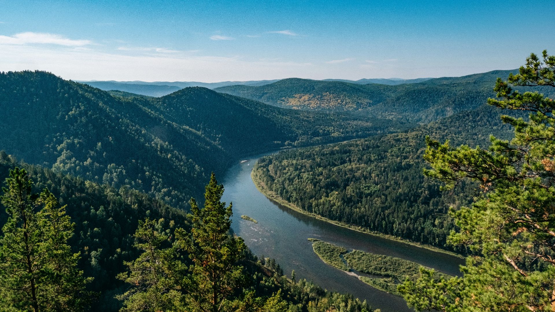 a river flowing through a lush green forest