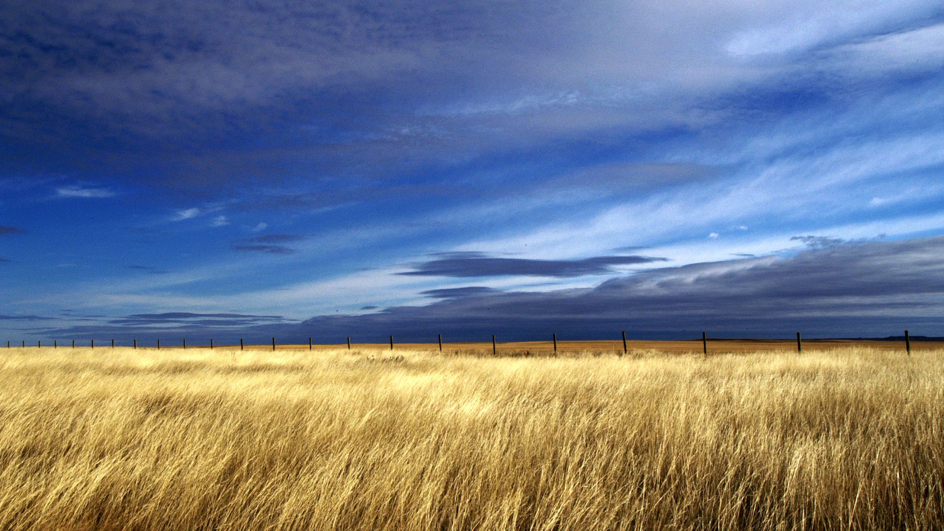 Grasslands National Park