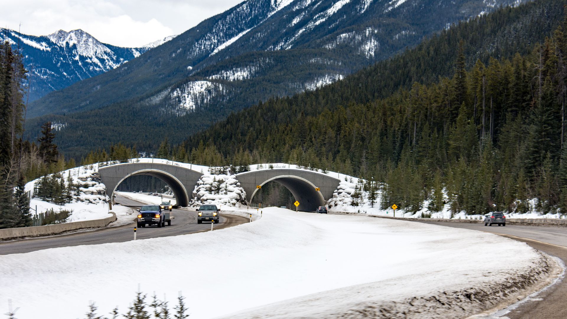 Animal crossing overpass in Banff National Park - Canada