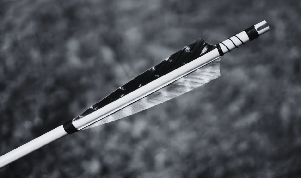 A detailed view of a traditional arrow with feather fletching against a blurred green background