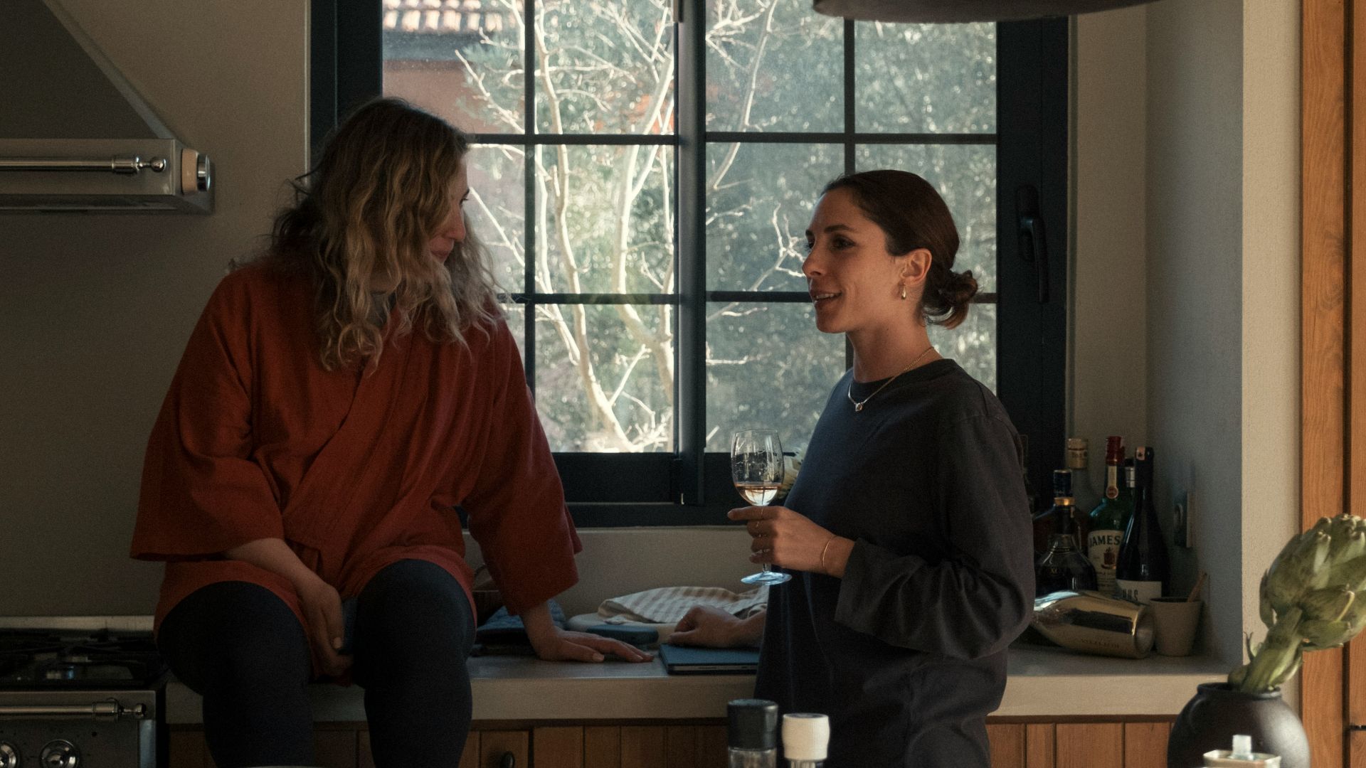 Two women talking in a modern kitchen.