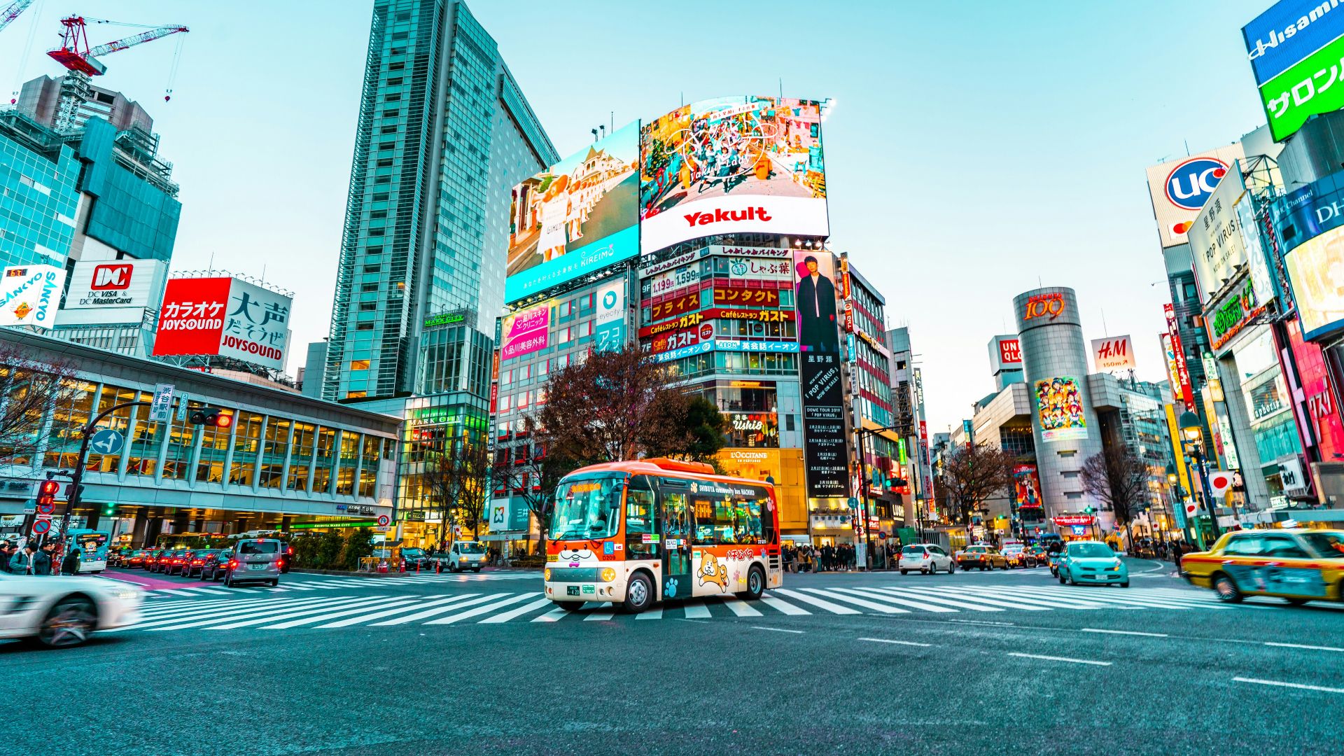 white and red buss on the middle of crossing street photo