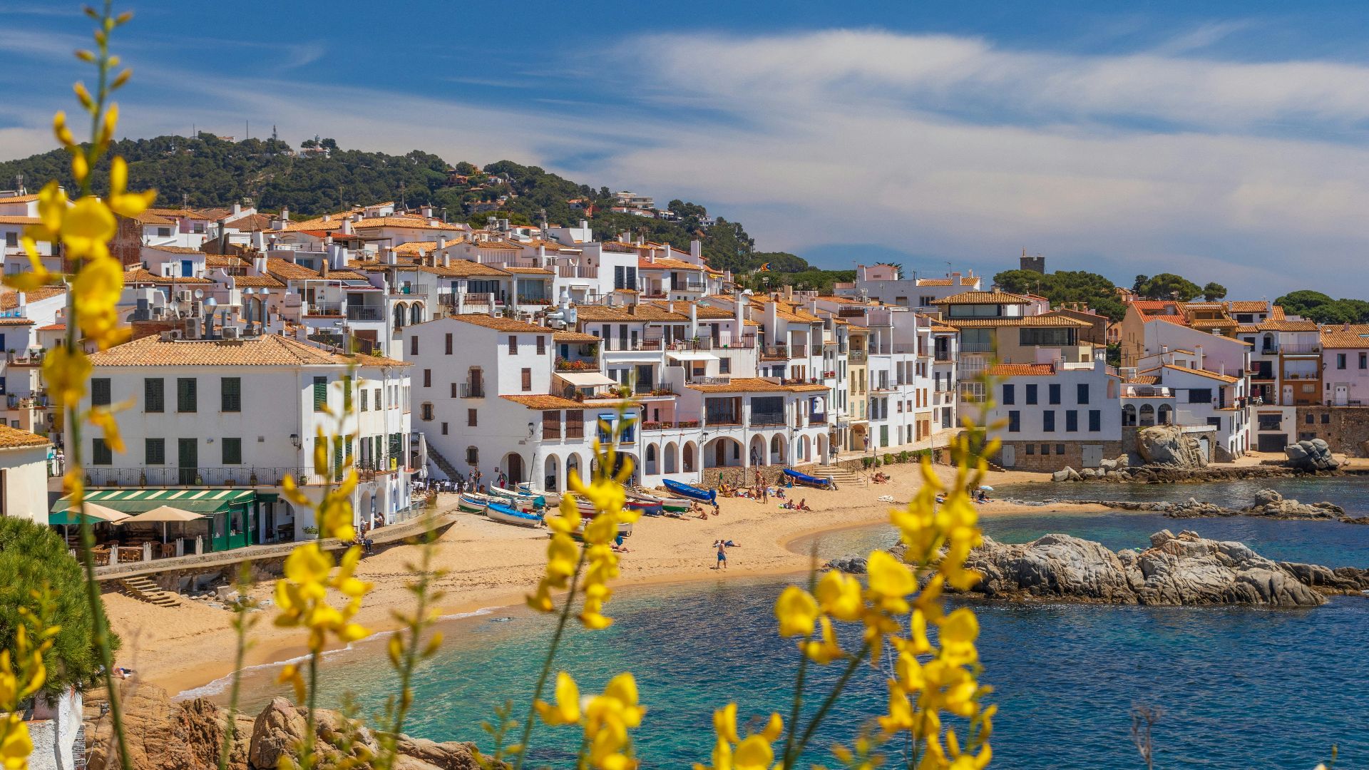 yellow and white houses near body of water during daytime