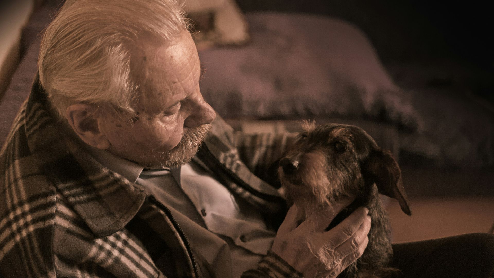 man in plaid jacket holding tan dog