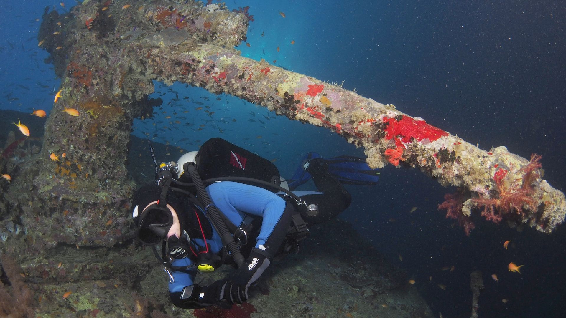wreck diving Red sea