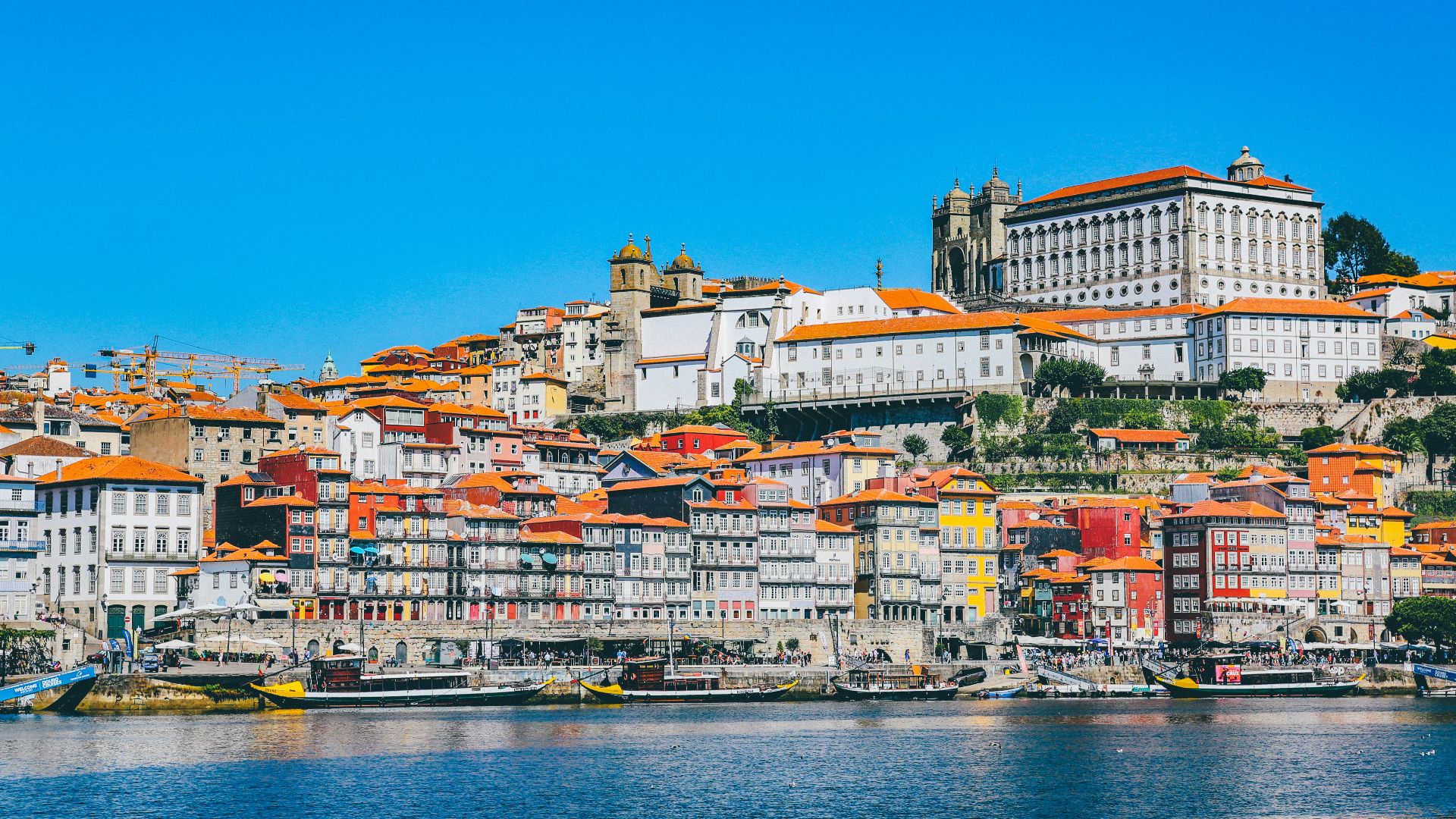 white buildings near body of water