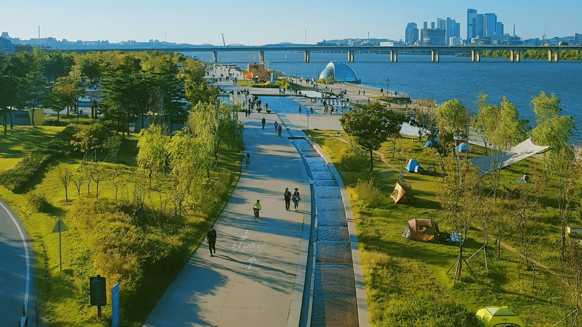 aerial view of city buildings and green trees during daytime