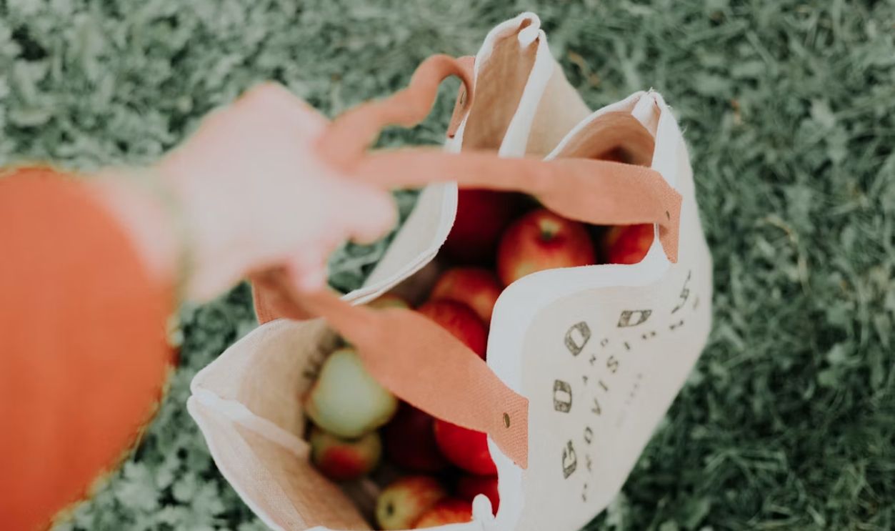 Ecobag of Apples 