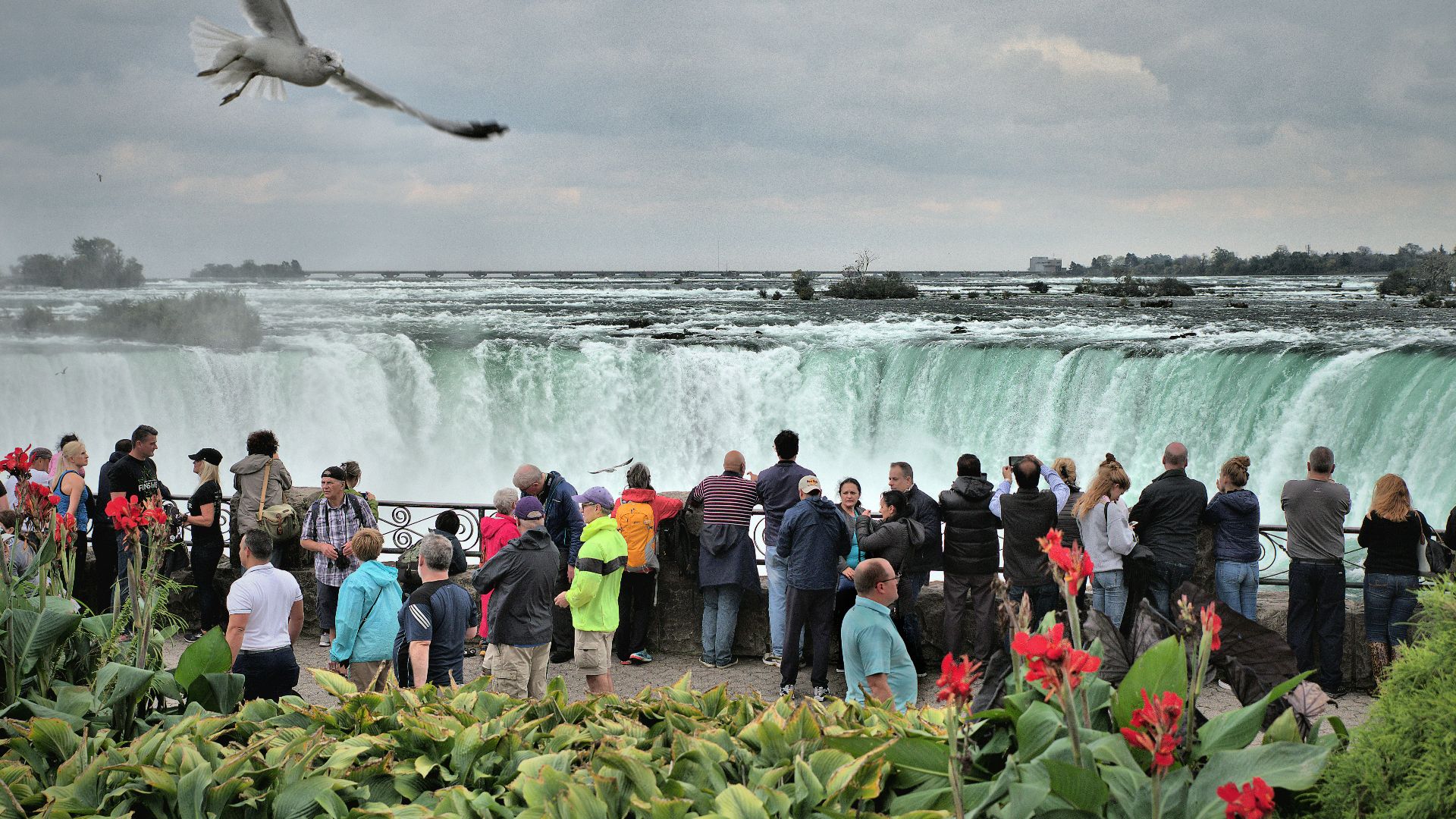 people taking picture of waterfalls under cloudy sky