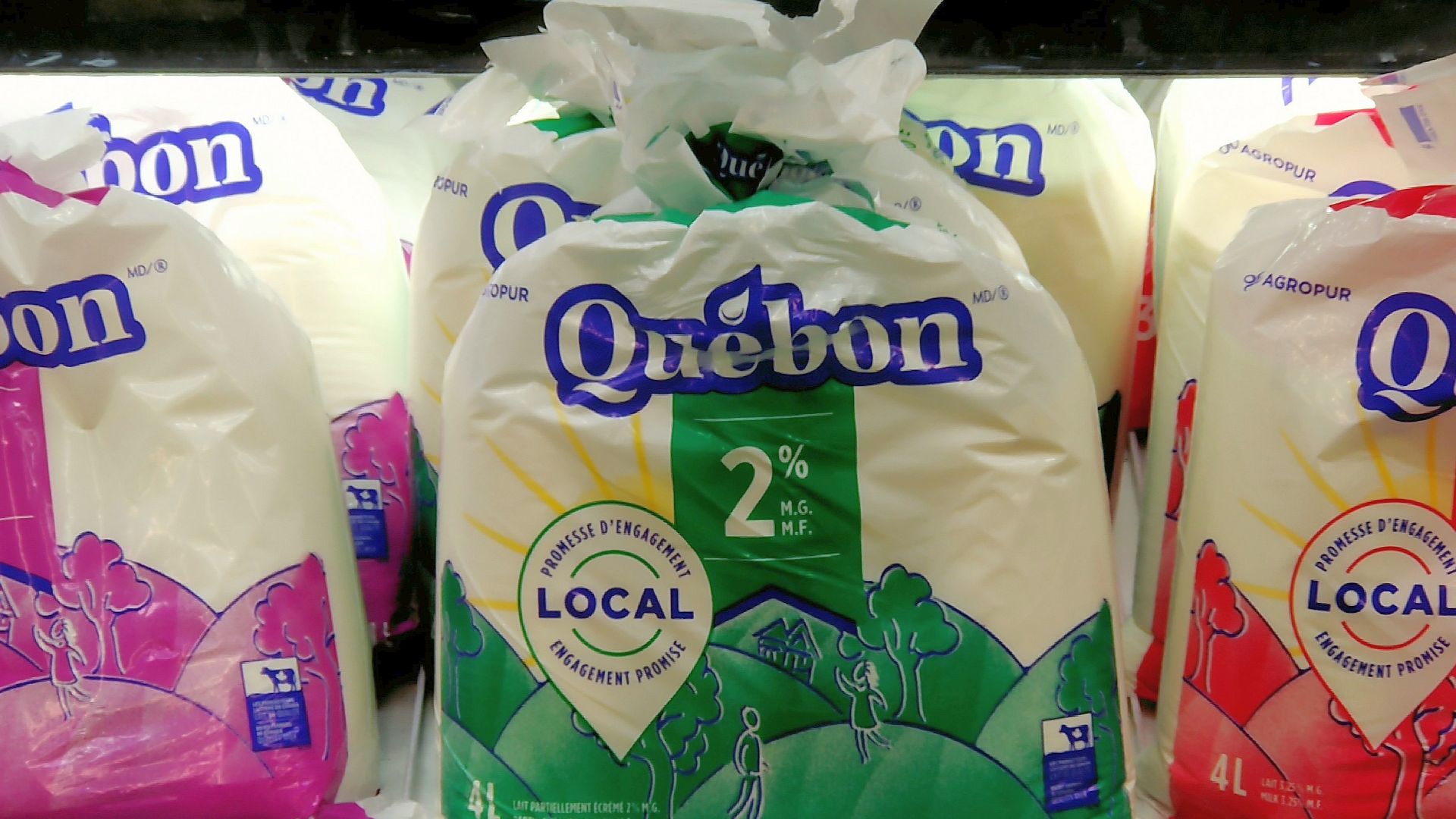 Four litre bagged milk in Quebec.