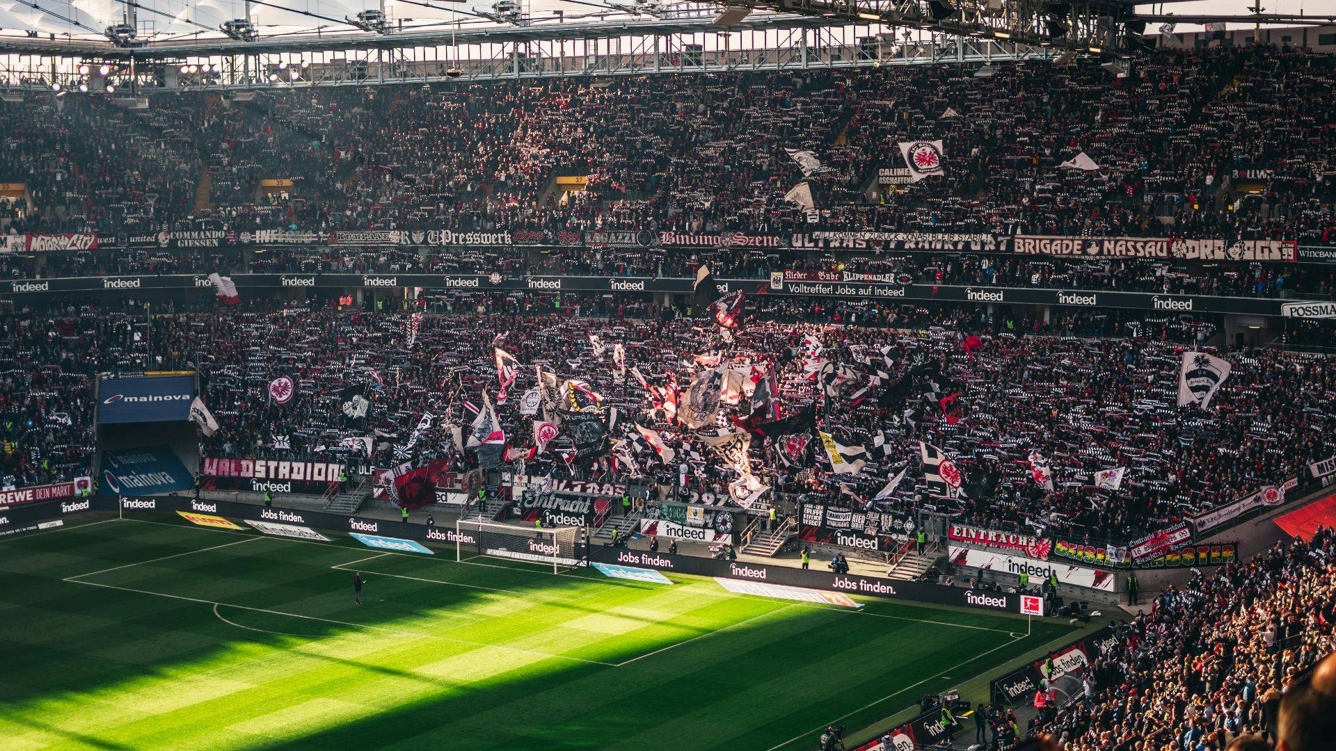 soccer field