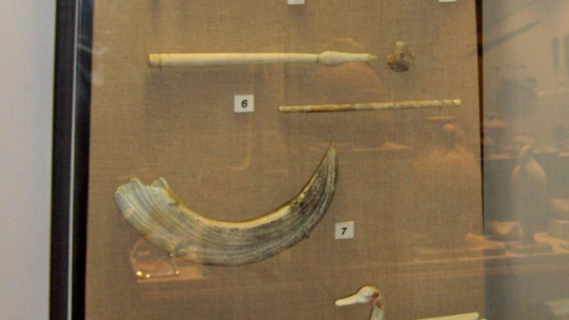Ivory; Uluburun shipwreck, St. Peter's castle, Bodrum, Turkey

1. five ivory finials 2. ivory trumpet 3. ivory cosmetics spoon 4. ivory pomegranate finial 5. ivory acrobat (possibly handle) 6. ivory scepters 7. hippopotamus tooth, incisor 8. ivory duck-sh