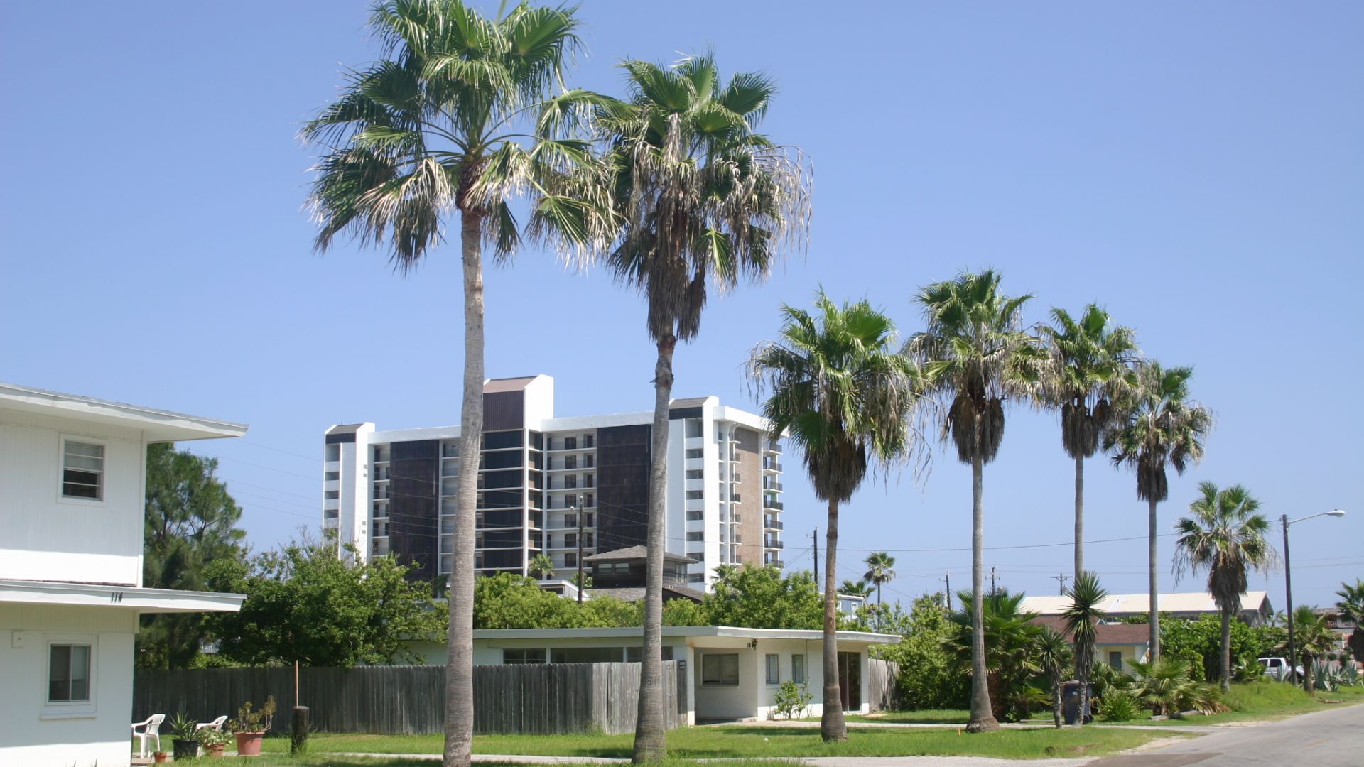 Author: Myself
Source: I took this picture on September 29, 2005, with a Canon EOS Digital Rebel.
Summary: This is a representative street scene on South Padre Island, Texas showing some residences with a hotel in the background. The vegetation is al