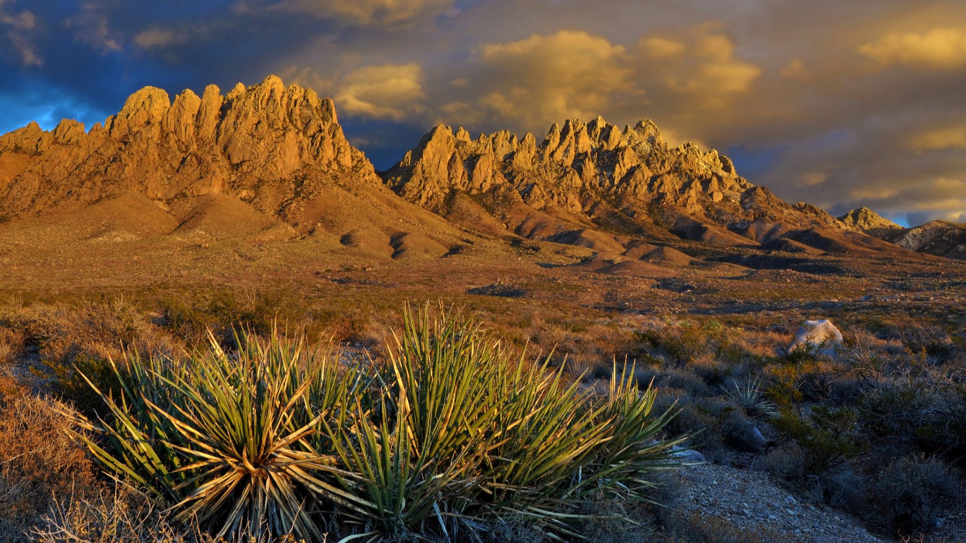 The Organ Mountains-Desert Peaks National Monument in New Mexico was established on May 21, 2014, by Presidential Proclamation, and is managed by the Bureau of Land Management. The Monument includes 496,330 acres, and was established to protect significan