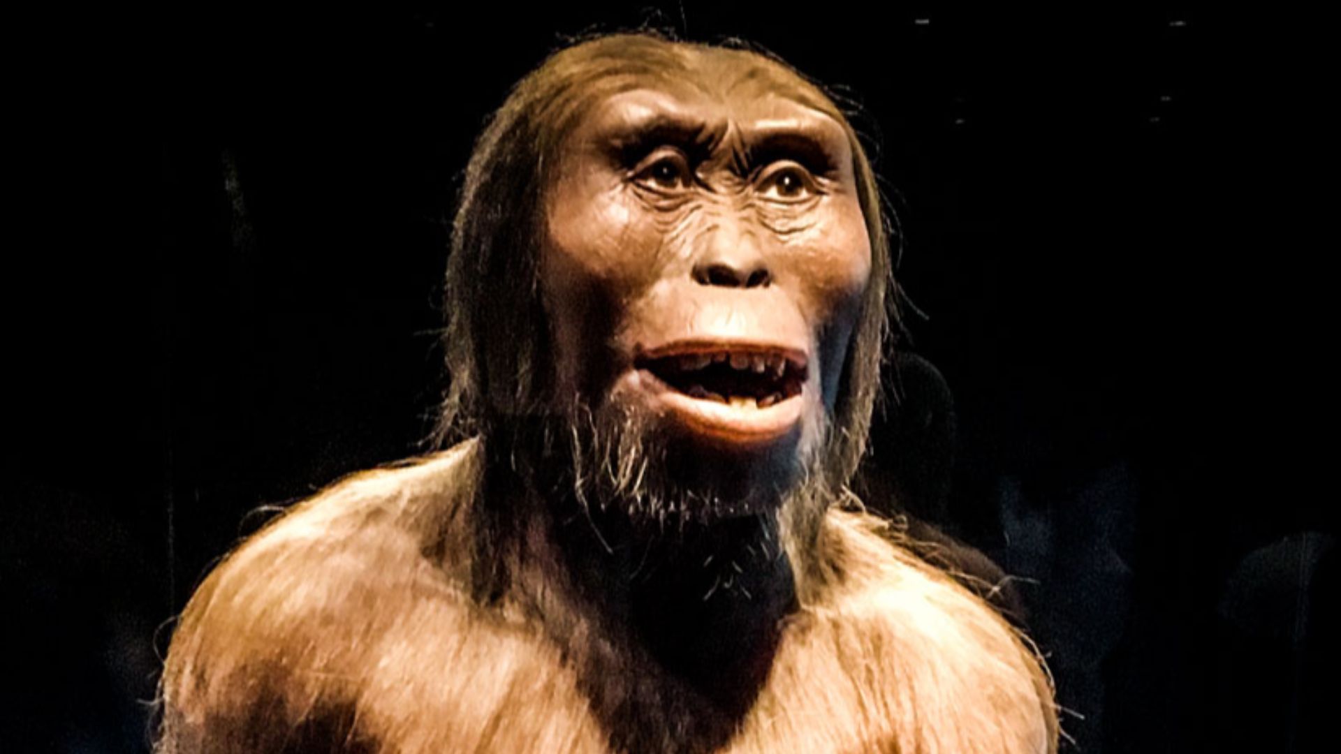 Cálida bienvenida al Museo de Antropología e Historia por parte de Lucy
