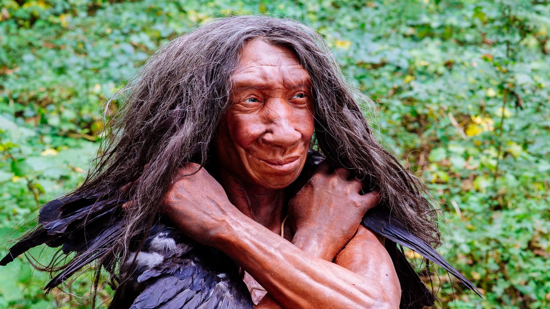 Lebend-Rekonstruktion im Neanderthal-Museum (Erkrath, Mettmann) eines Homo sapiens neanderthalensis (Ausschnitt des Originalfotos), Fundort Gibraltar