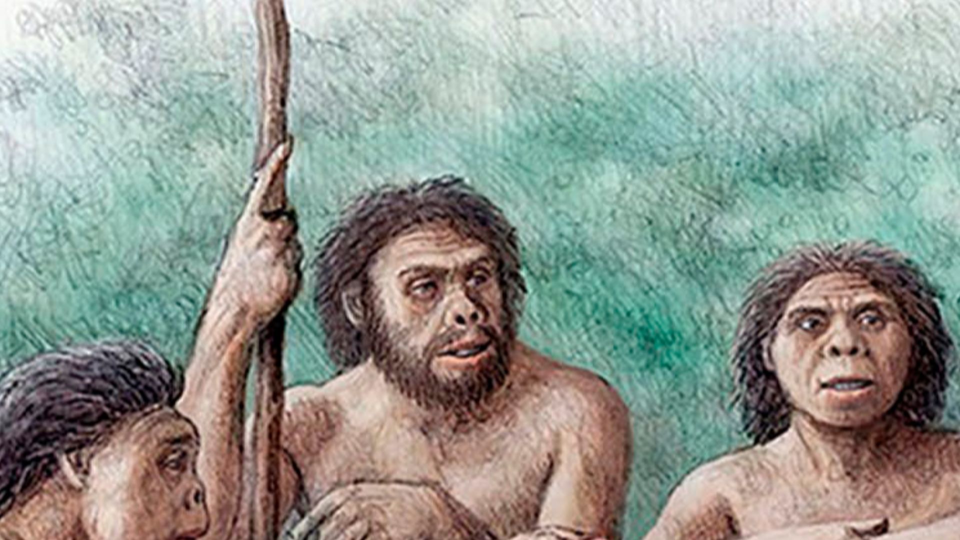 Altruistic behaviour of a group of Homo erectus sharing food with an individual who lived several years without teeth (as evidenced by edentulous skull D3444 and associated mandible D3900). This severe masticatory impairment would limit the diet of the in