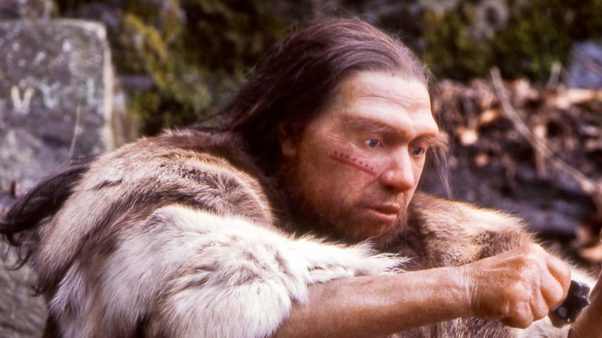Lebend-Rekonstruktion im Neanderthal-Museum (Erkrath, Mettmann) eines Homo sapiens neanderthalensis-Jägers