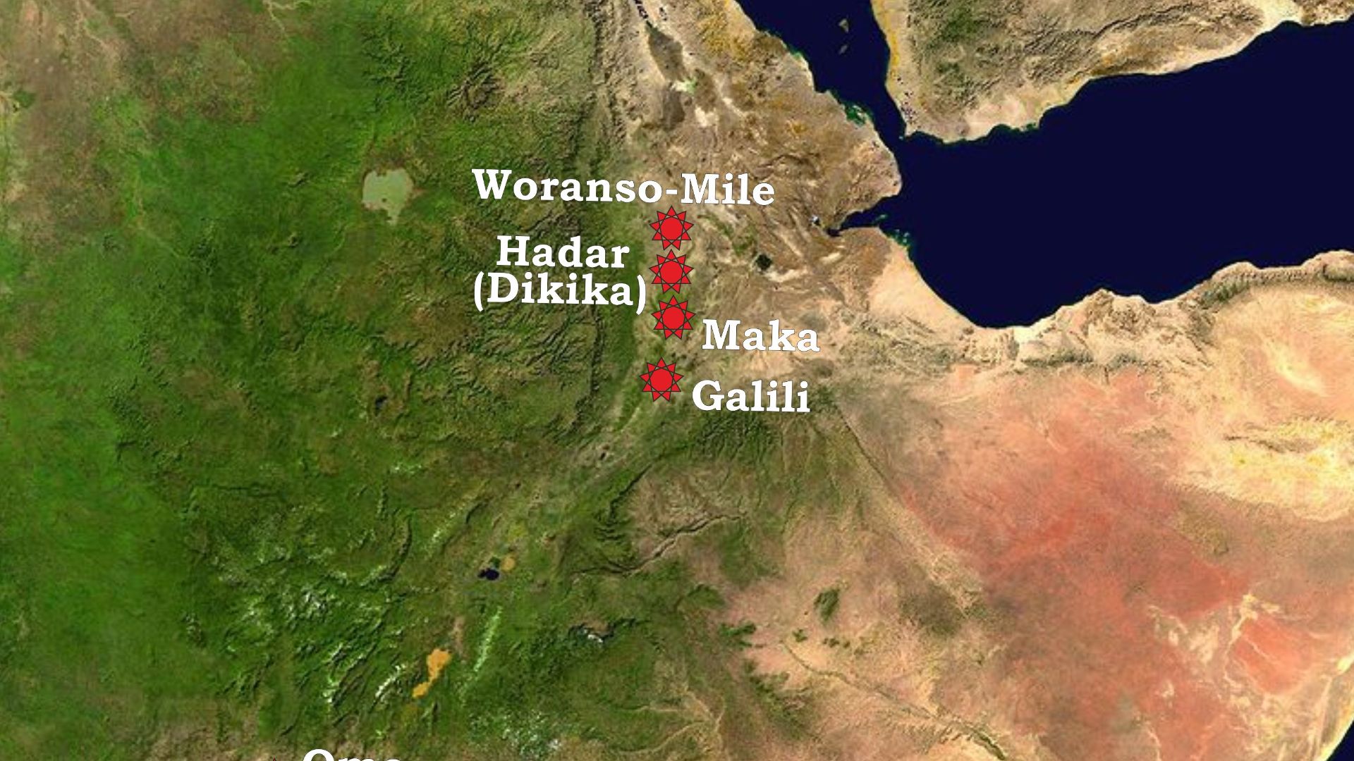 Australopithecus afarensis paleoanthropological sites in East Africa - Tanzania, Kenya and Ethiopia