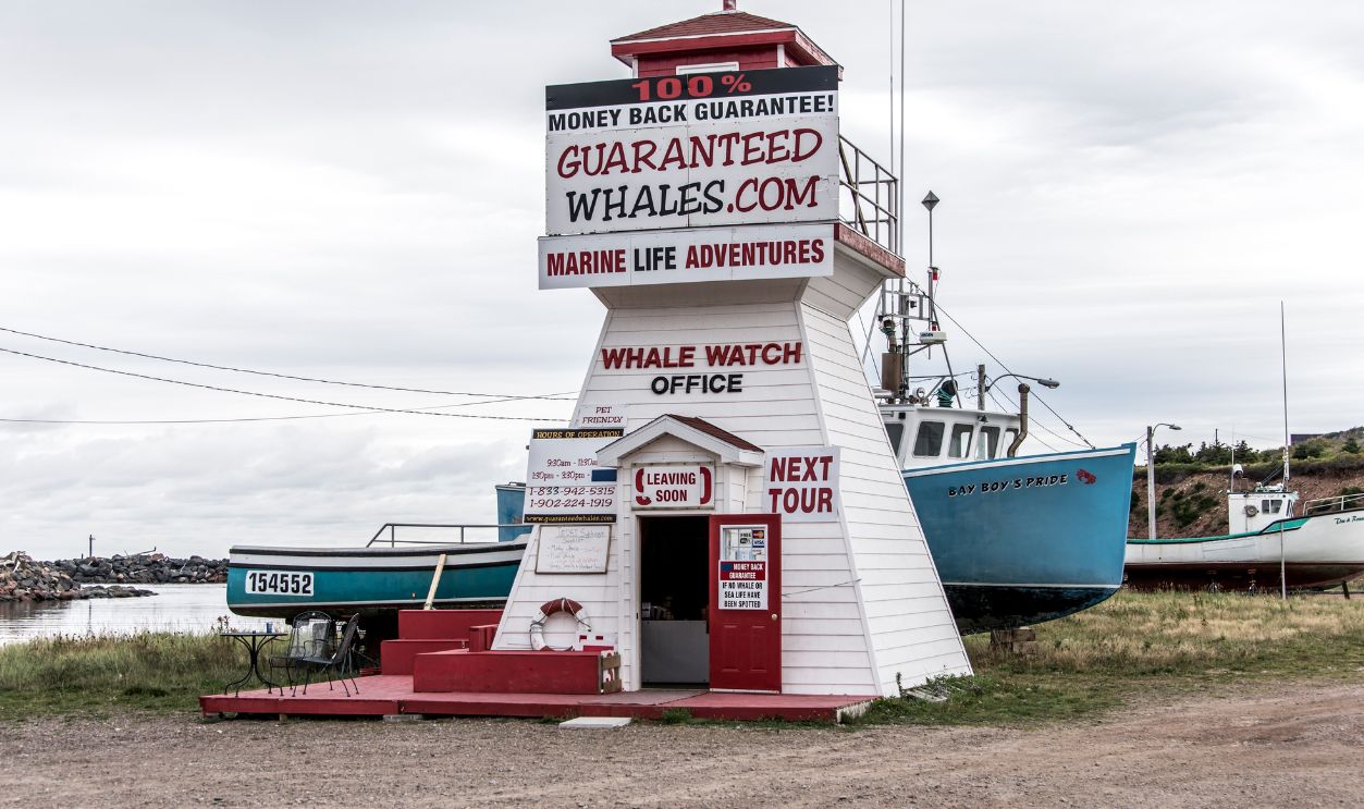 17.09.2017 Cape Breton Island Canada Pleasant Bay Marina fishing village boat whale watching Cabot Trail Nova Scotia