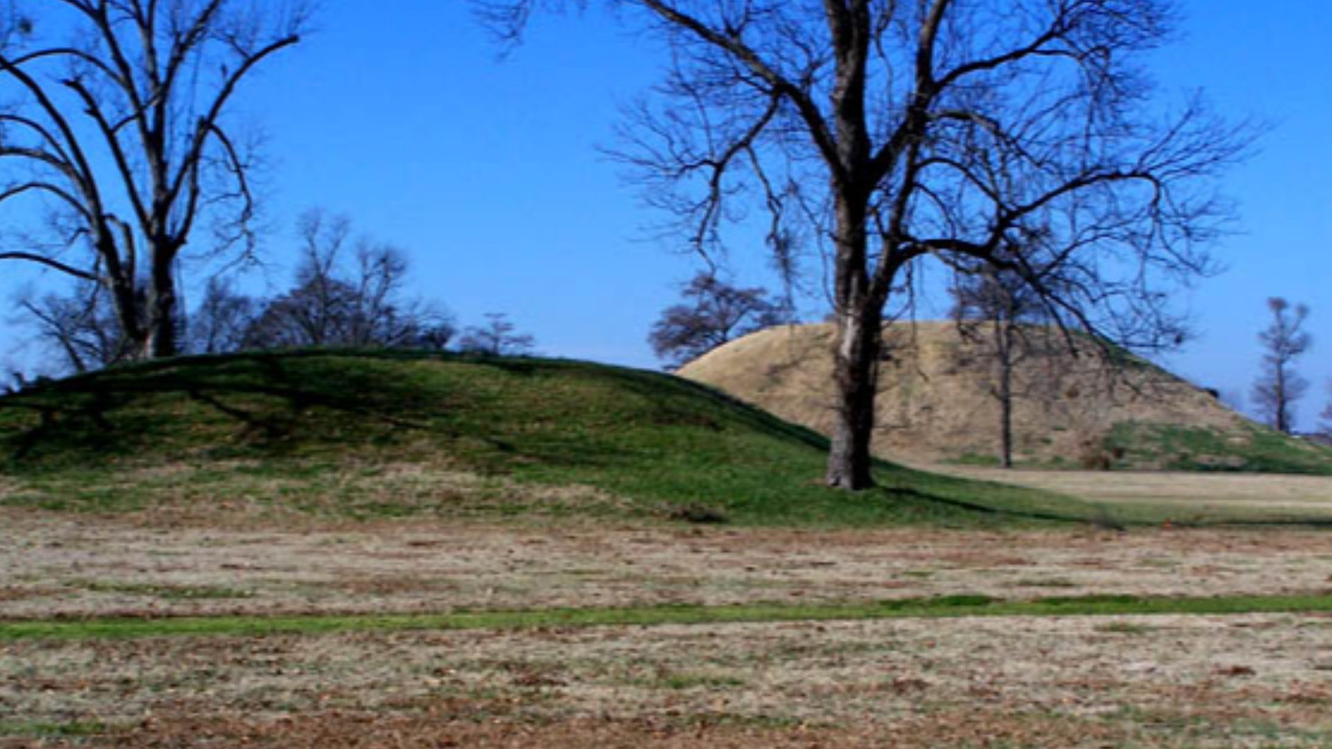 A photo of mounds at the en:Toltec Mounds Archeological State Park in Arkansas, USA.