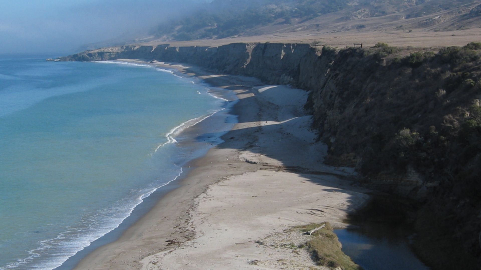 Water Canyon beach with endemic Torrey pines (Pinus torreyana var. insularis) on hills, and cliffs with Coastal sage scrub habitat, on Santa Rosa Island.
Located in the Coastal sage and chaparral sub-ecoregion, within Channel Islands National Park, Southe