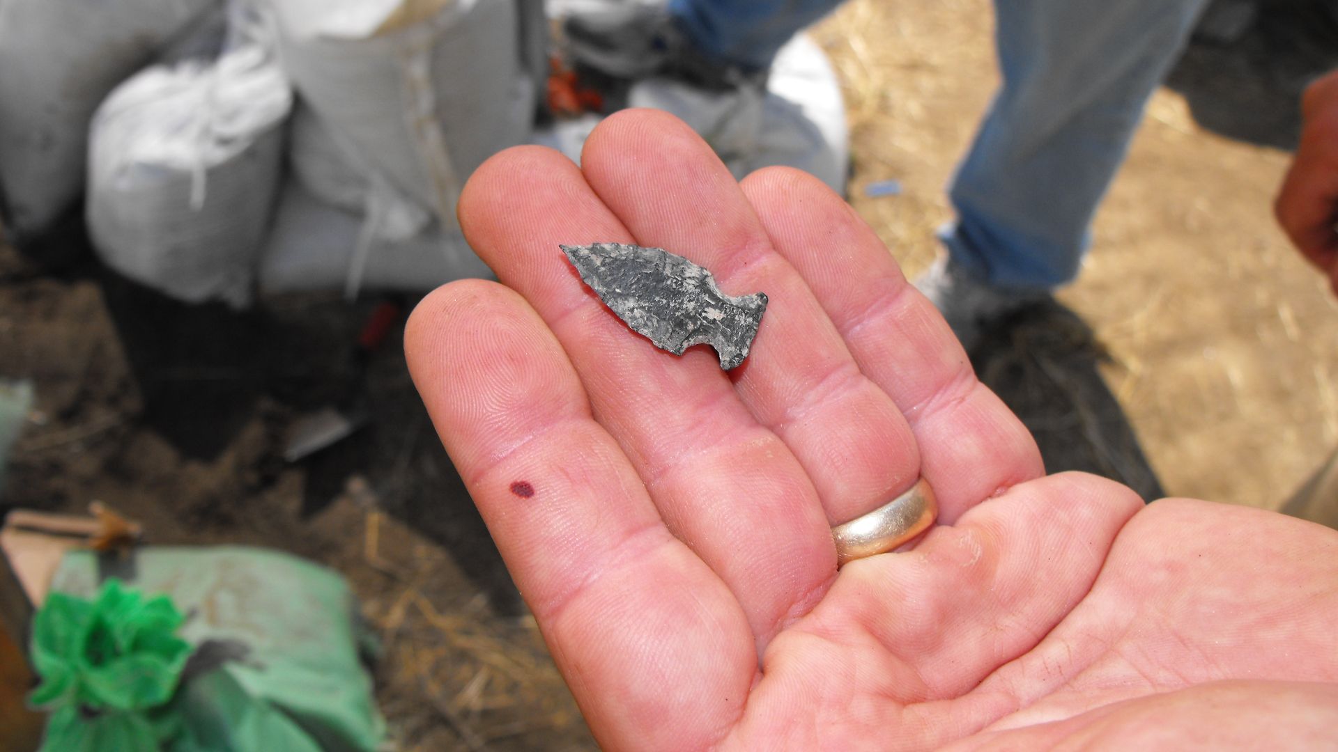Want to learn firsthand how an archaeological dig is conducted? Each summer, Oregon State University and the BLM conduct an archaeological field school at Cooper’s Ferry just south of Cottonwood, Idaho.  Cooper’s Ferry contains some of the earliest eviden