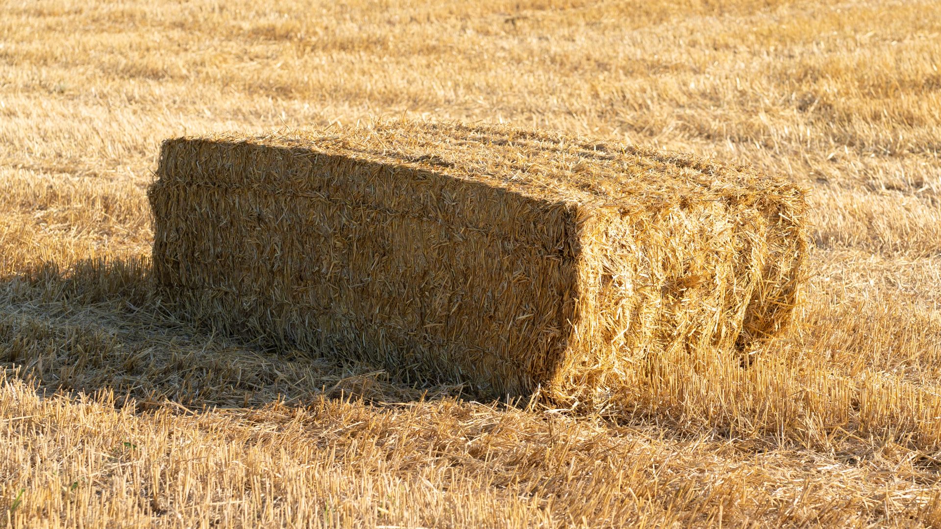 Rectangular hay bale in Germany. View from higher angle.