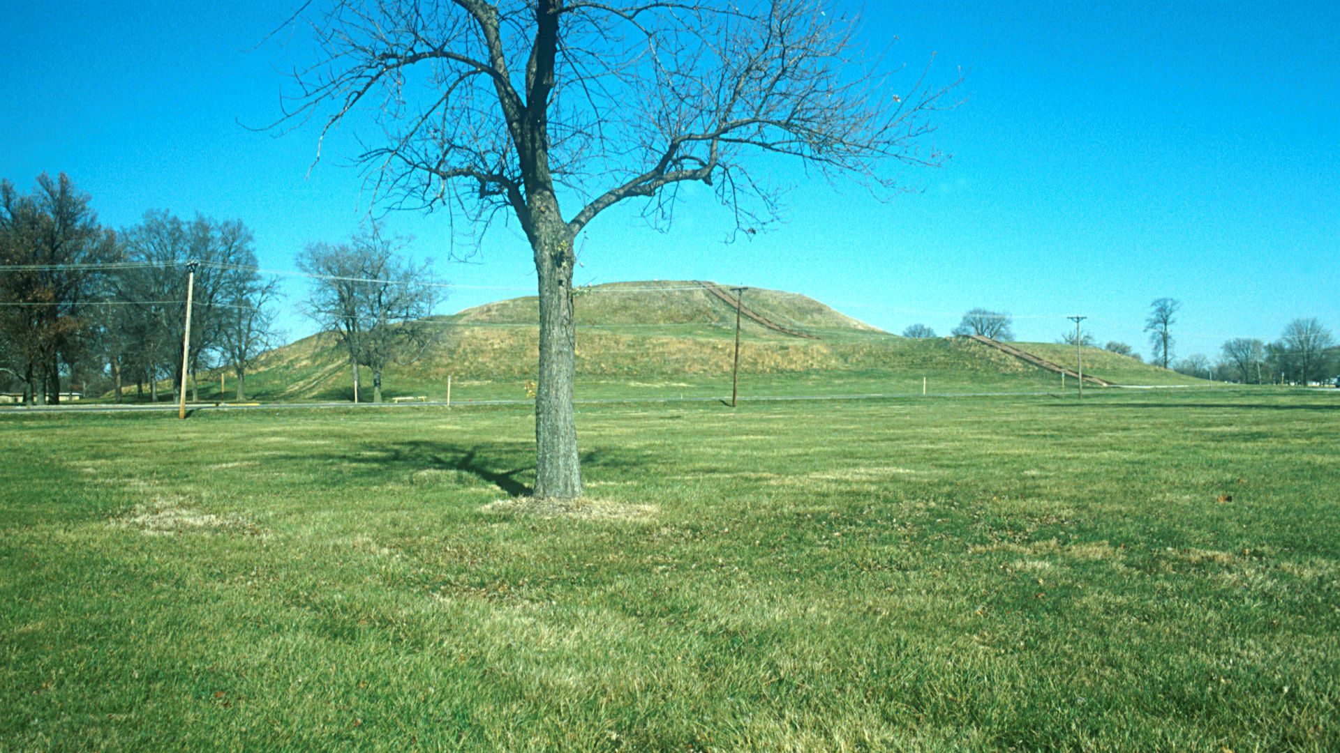 Scope and content:  The original finding aid described this photograph as:
Original Caption: In the distance, the grass covered Monks Mound rises up from the flat surrounding area at Cahokia Mounds State Historic Site.
Location: Location: Cahokia Mounds H