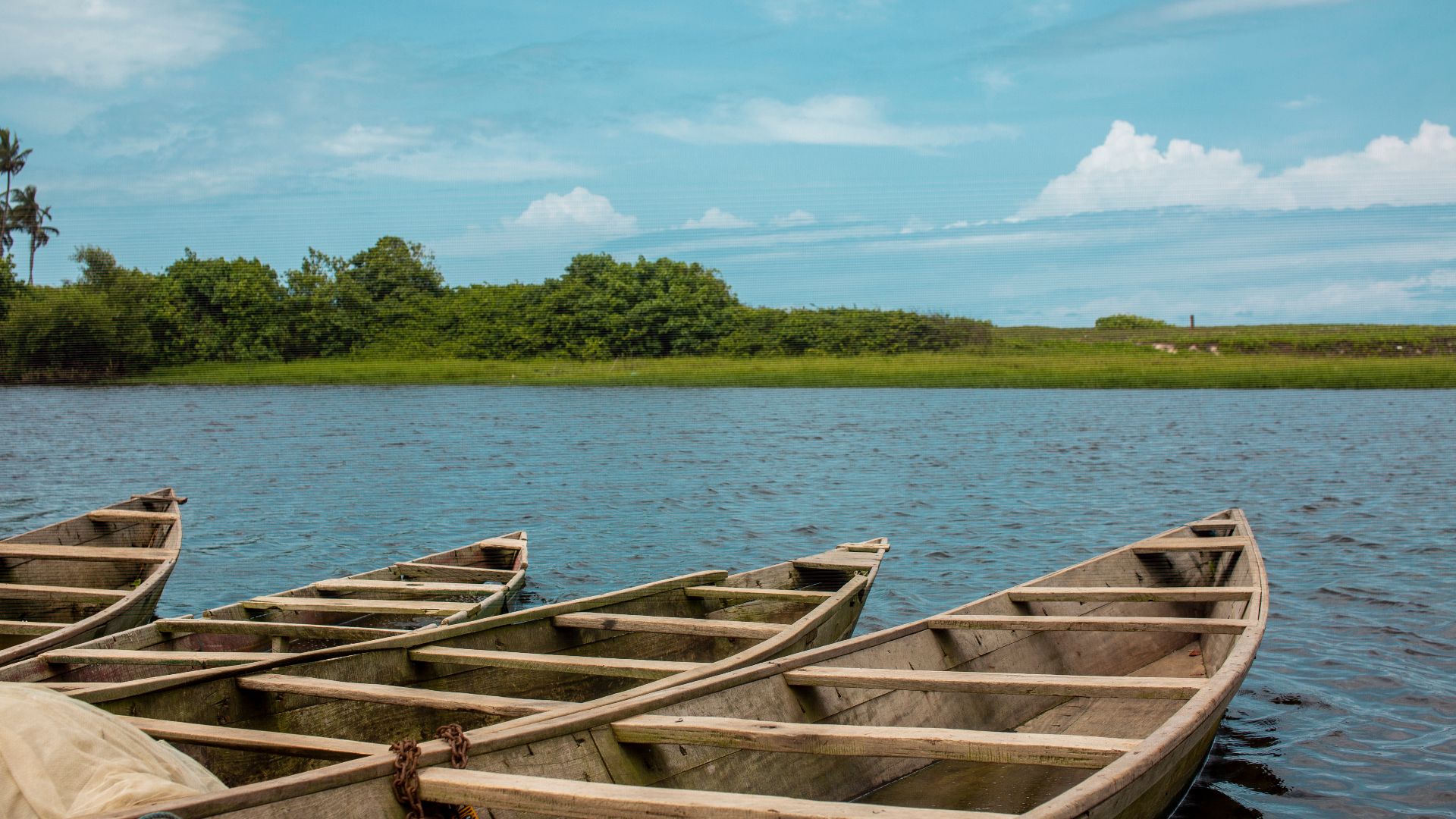 canoes on the beach