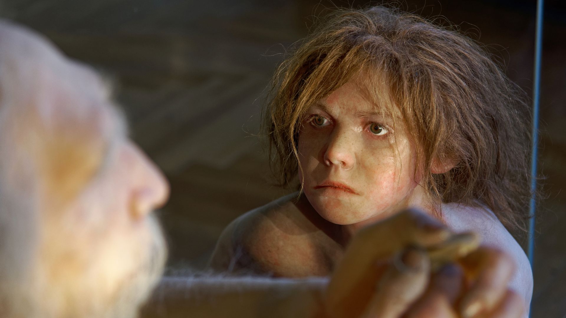 Model of Homo neanderthalensis child in The Natural History Museum, Vienna