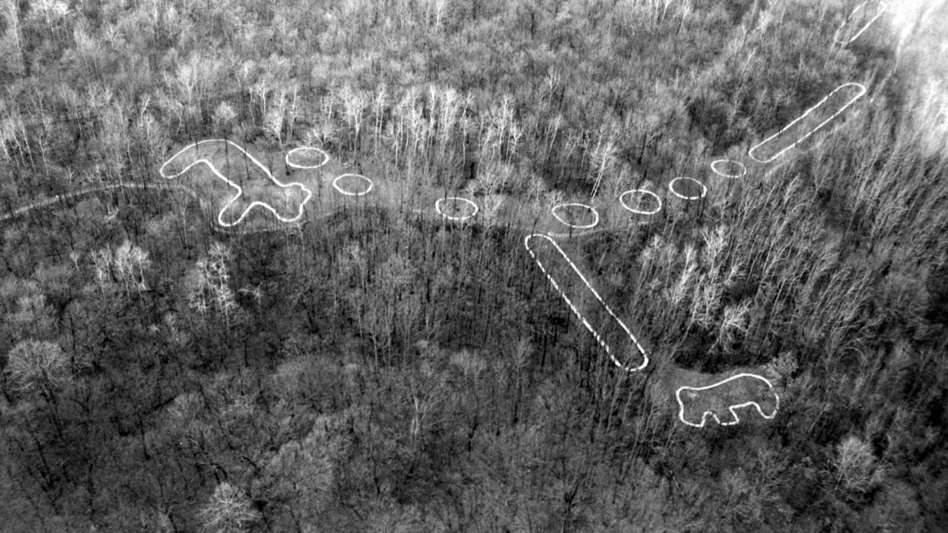 Effigy Mounds National Monument, Aerial View of Great Bear Mound Group. 43°5′38″N 91°10′54″W﻿ / ﻿43.09389°N 91.18167°W﻿ / 43.09389; -91.18167