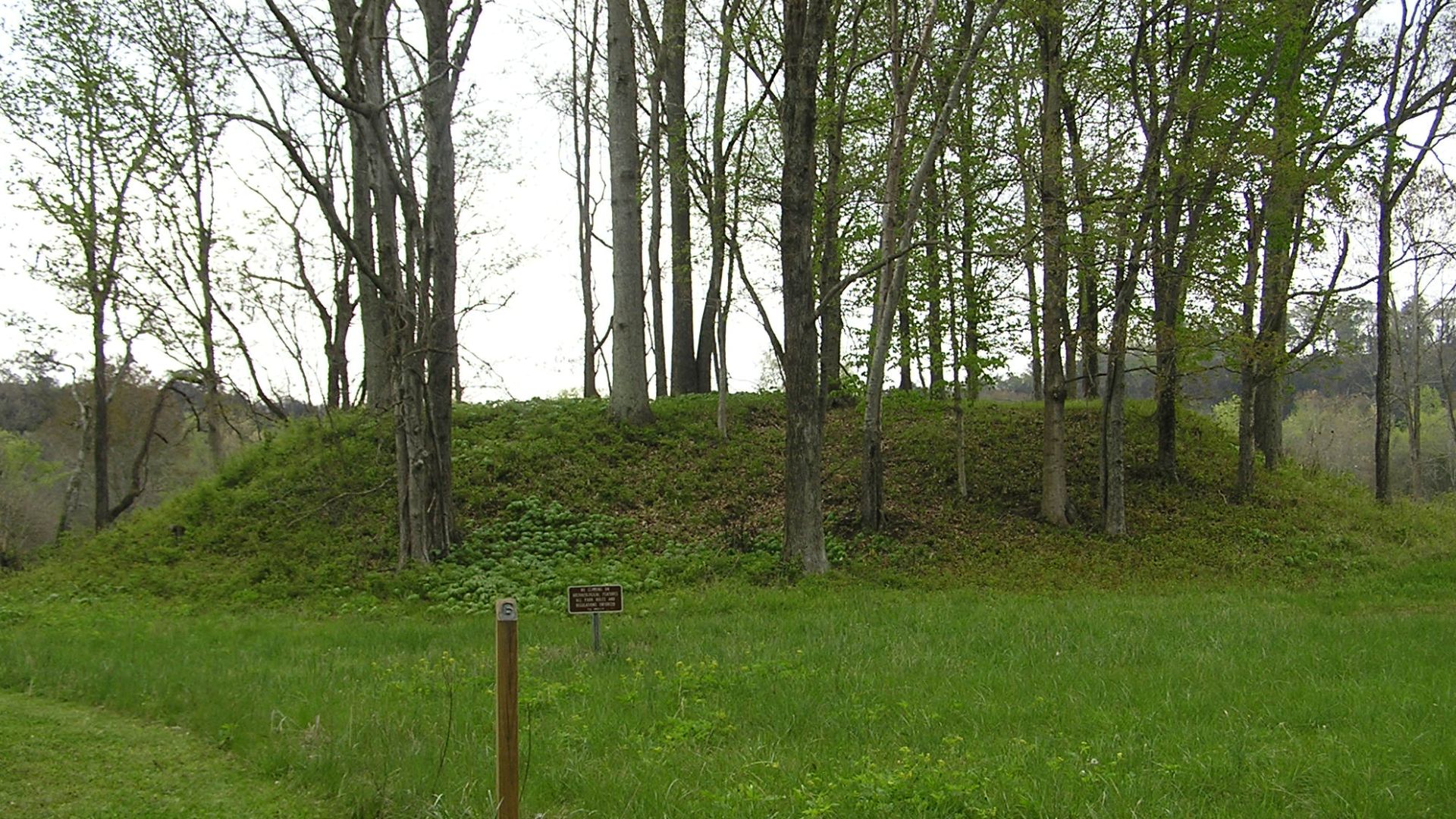 The main mound of the en:Sellars Indian Mound site in en:Wilson County, Tennessee. The mound site is on the National Register of Historic Places and is located in a satellite unit of Long Hunter State Park near en:Lebanon, Tennessee.