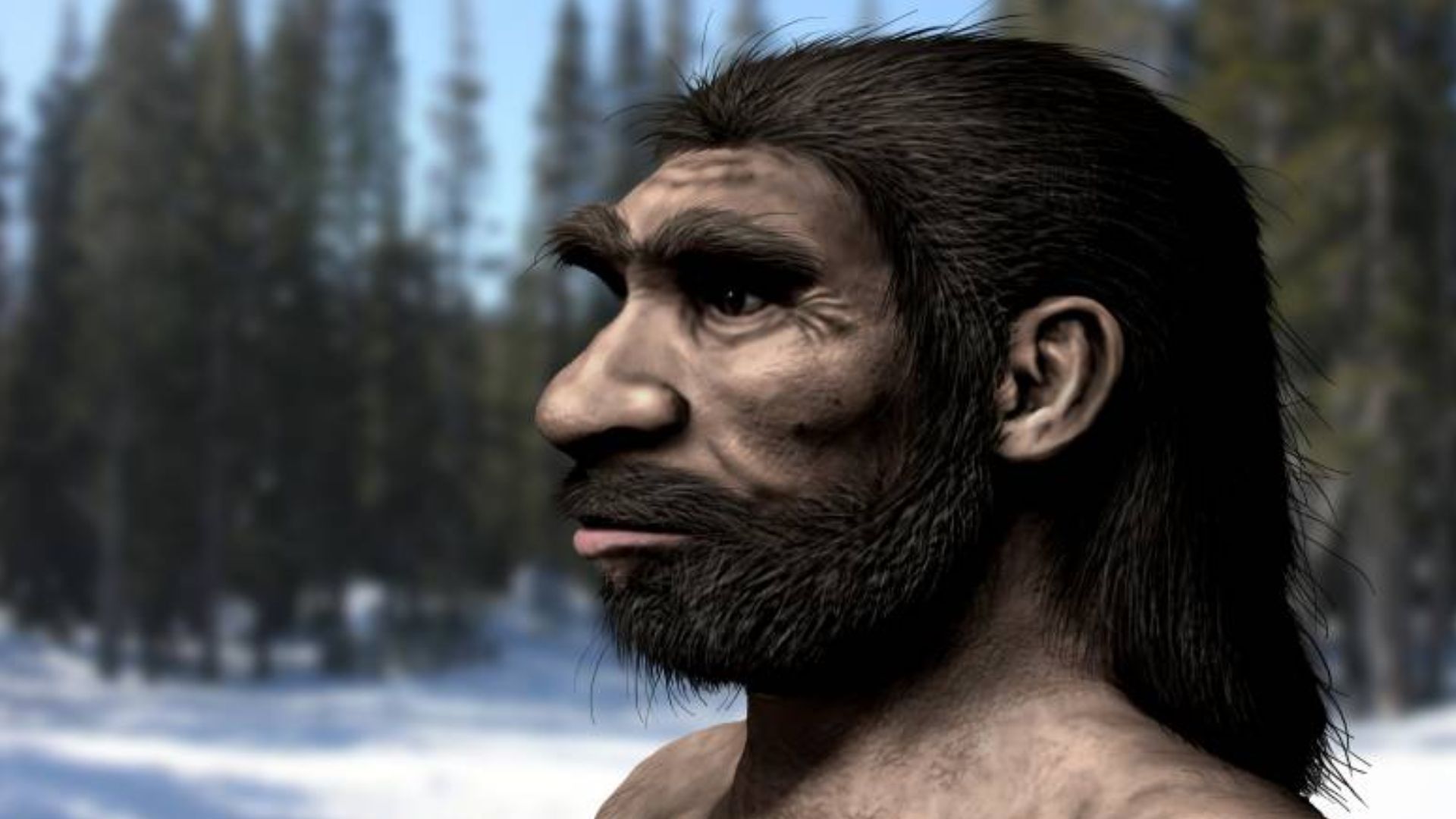 Life restoration of Homo longi