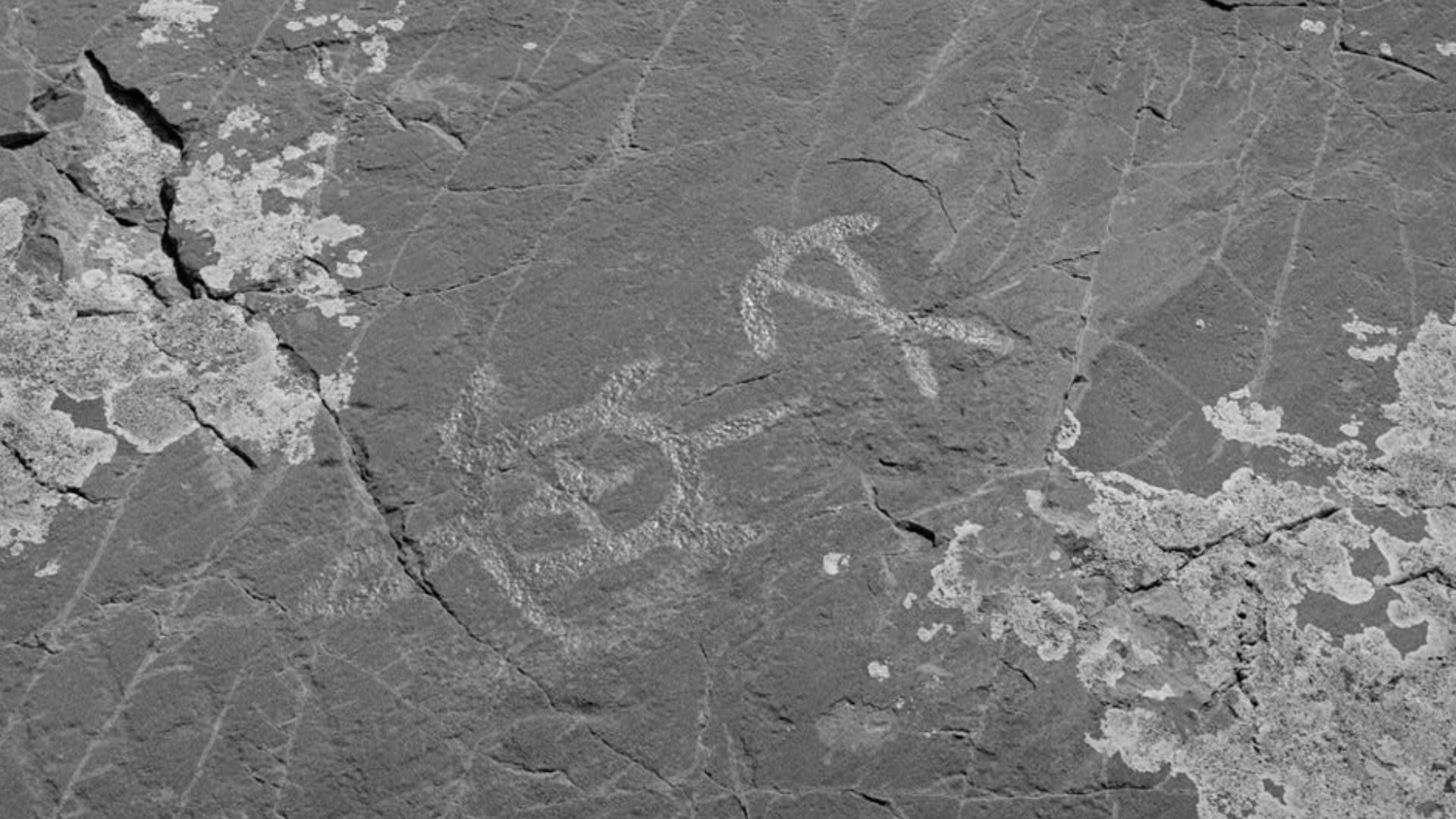Petroglyphs of a man and a turtle at Jeffers Petroglyphs near Jeffers, Minnesota.