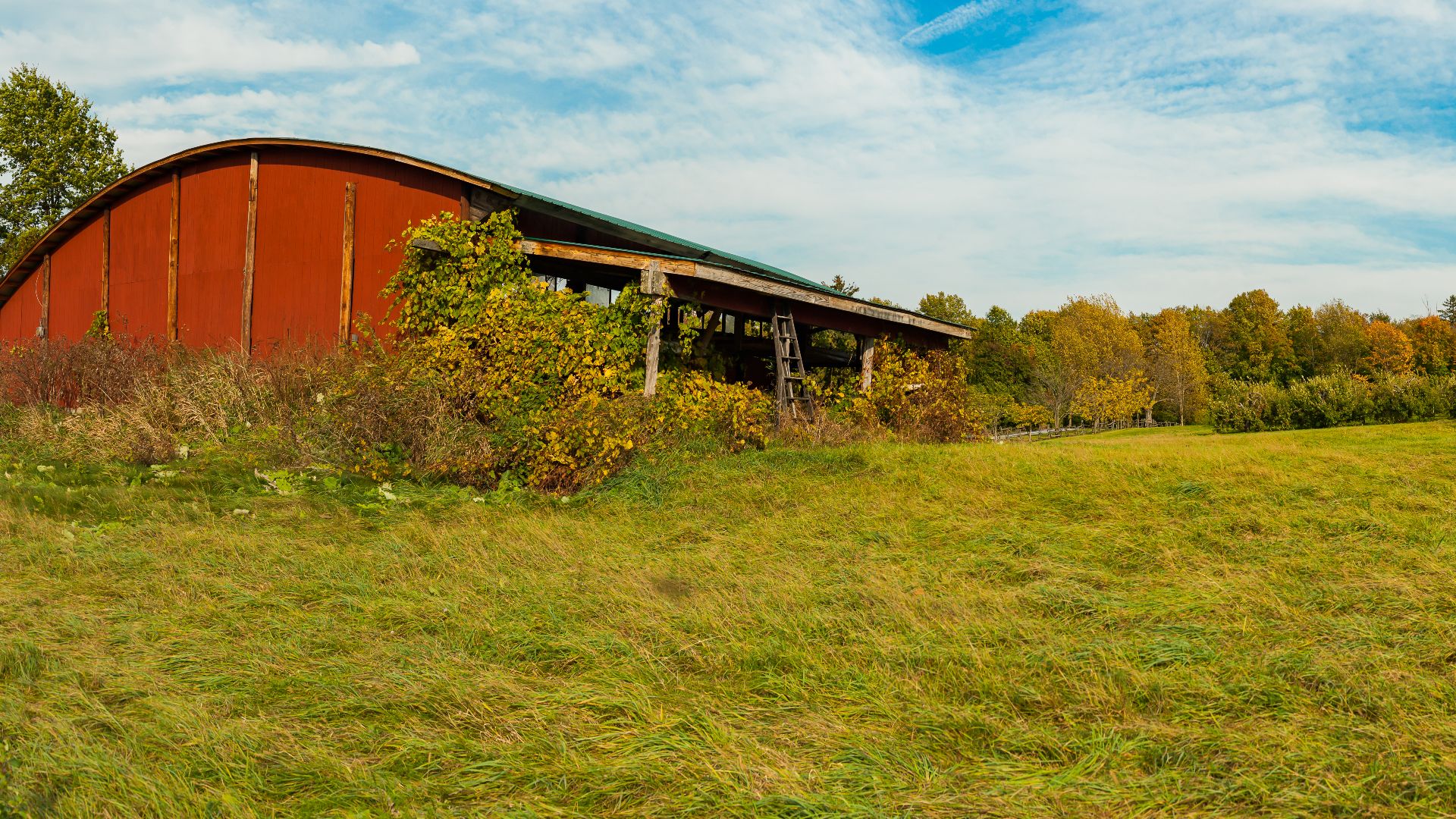 Run down farm shack at Shelburne Orchard in Shelburne, Vermont, USA