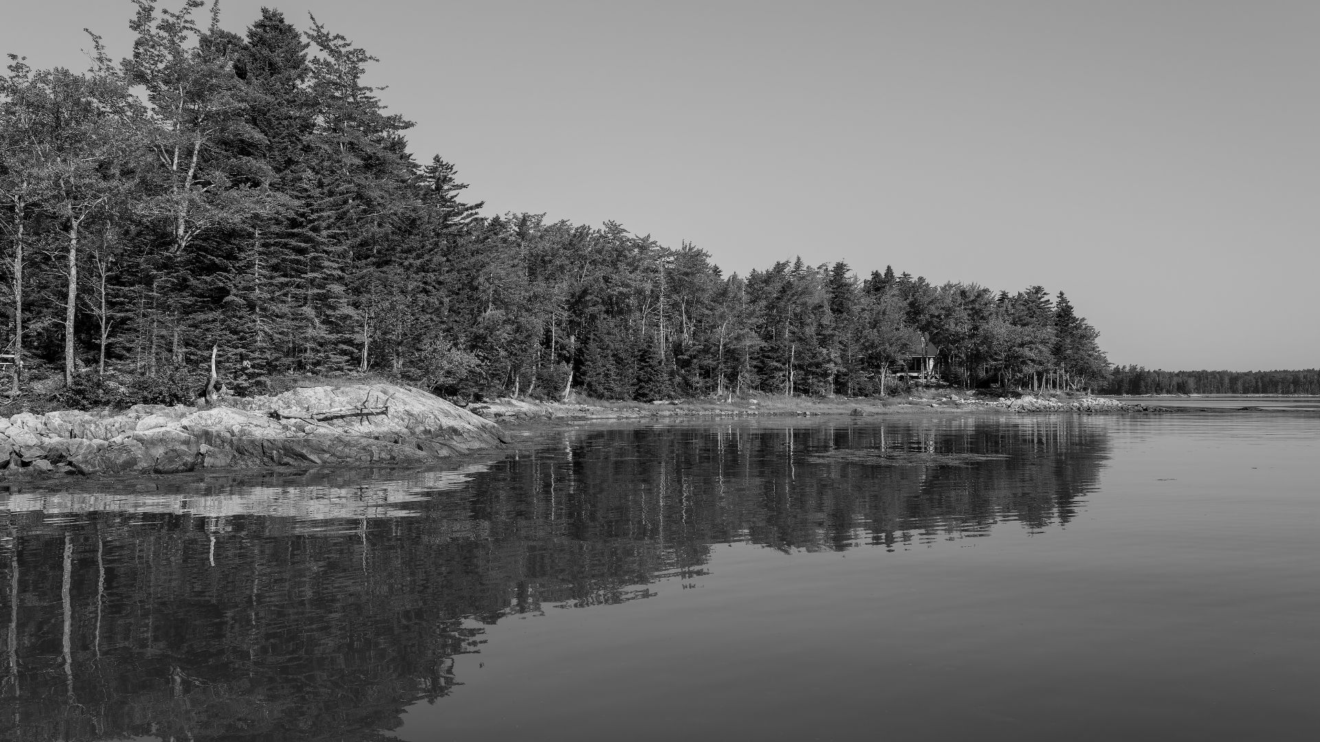 Coastline, Maine Coastal Islands National Wildlife Refuge, Maine, US (PPL3-Altered)